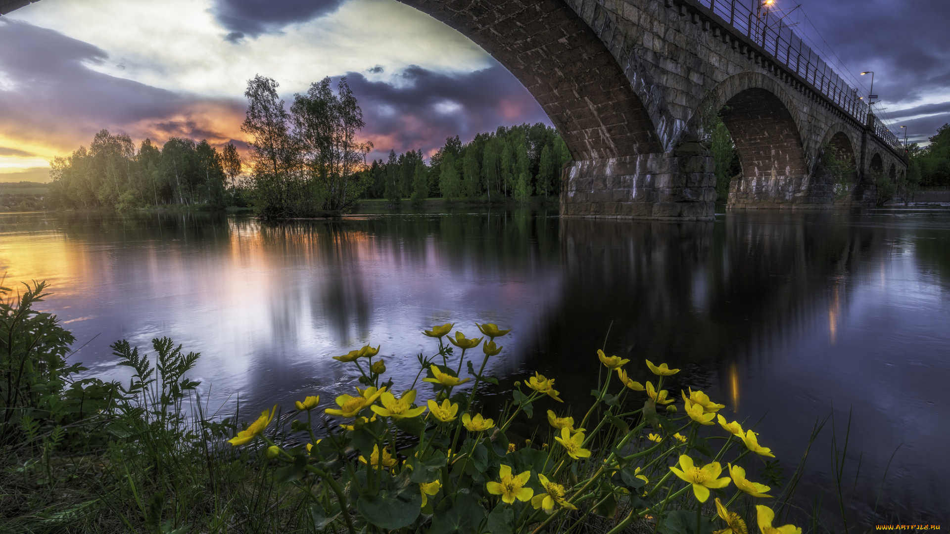 природа, парк, рассвет