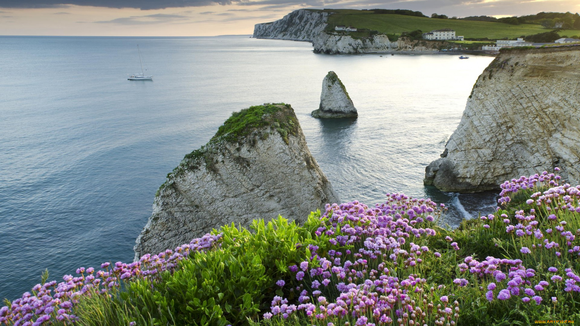природа, побережье, пляж, море, скалы, цветы, рассвет