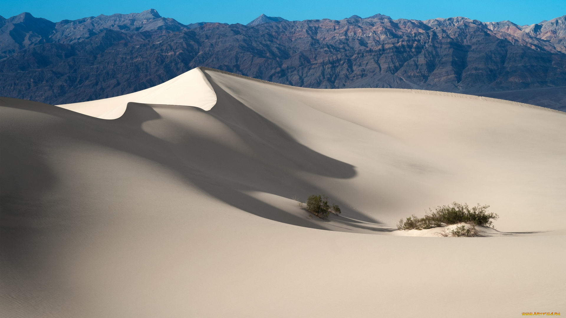 природа, пустыни, death, valley, national, park, дюны, пустыня, usa, california, песок