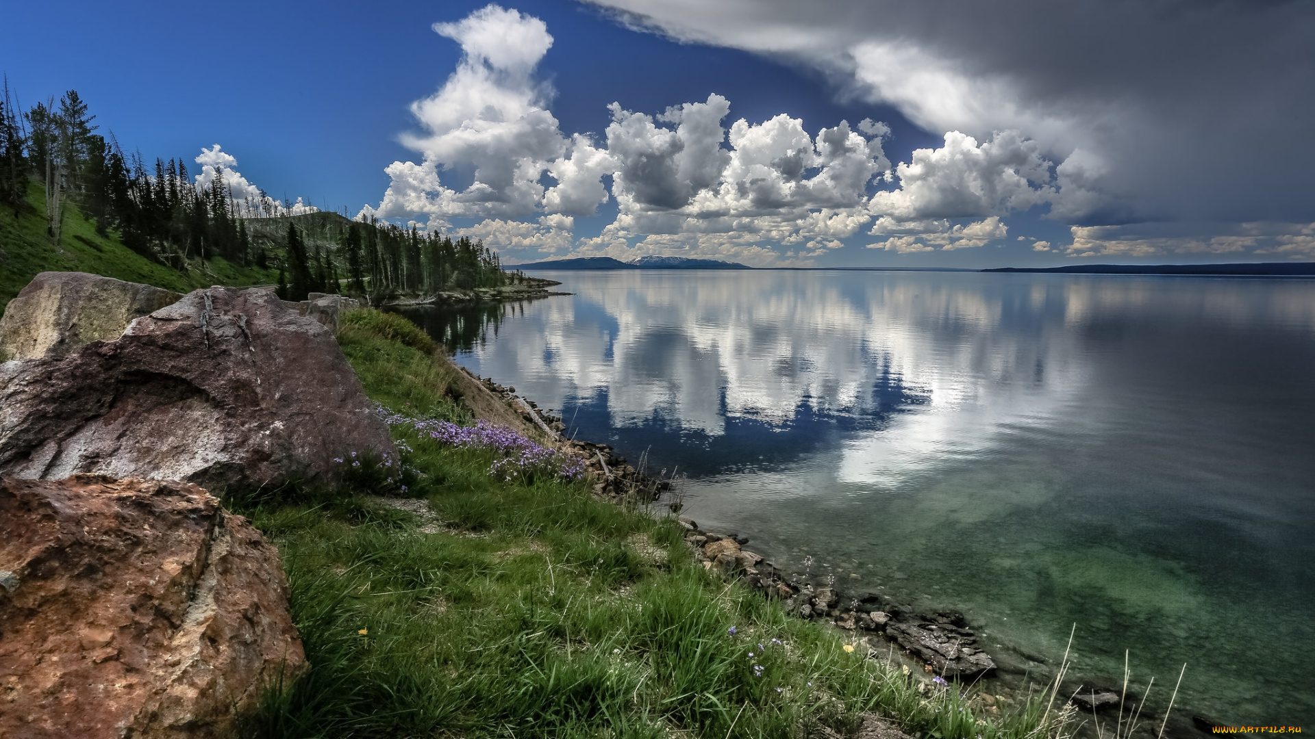 природа, реки, озера, лес, река