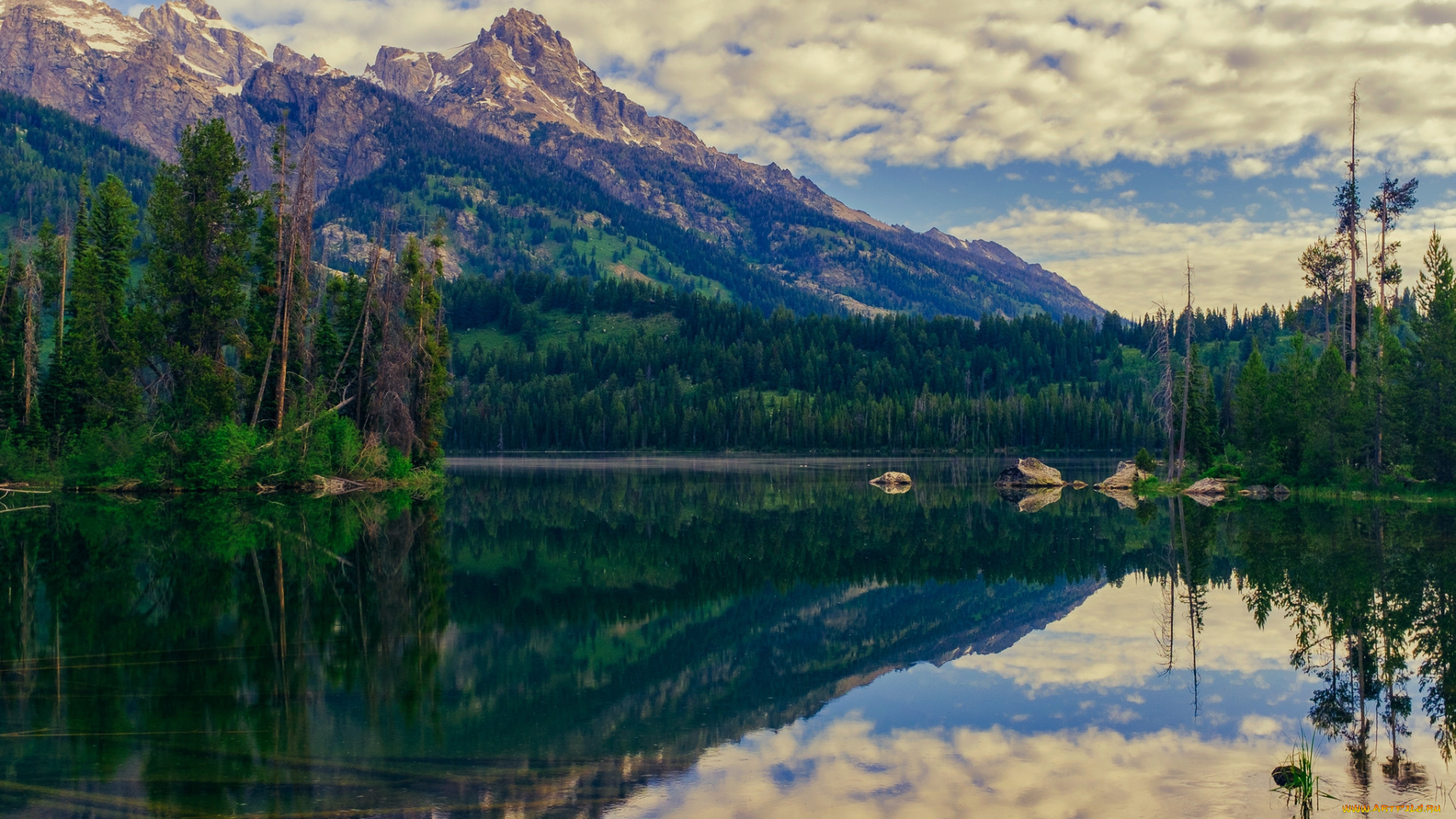 природа, реки, озера, лес, река