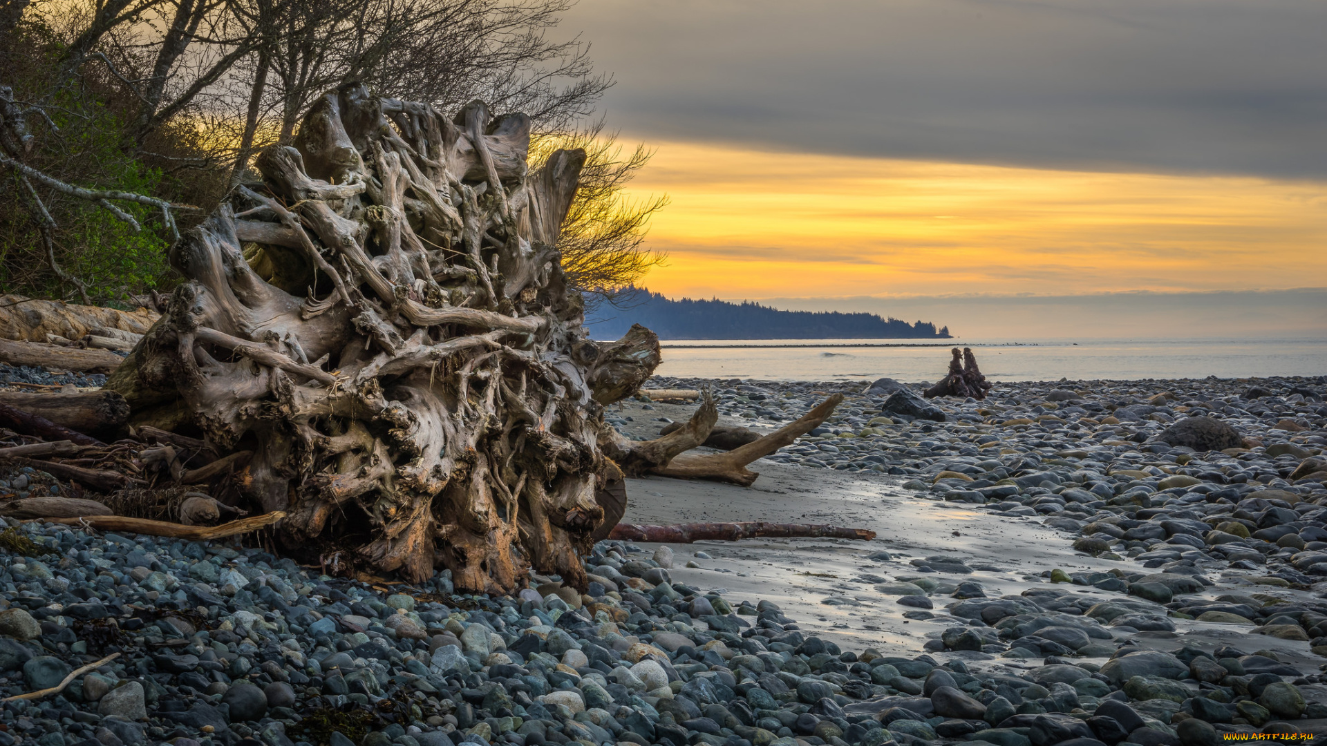 природа, реки, озера, лес, река