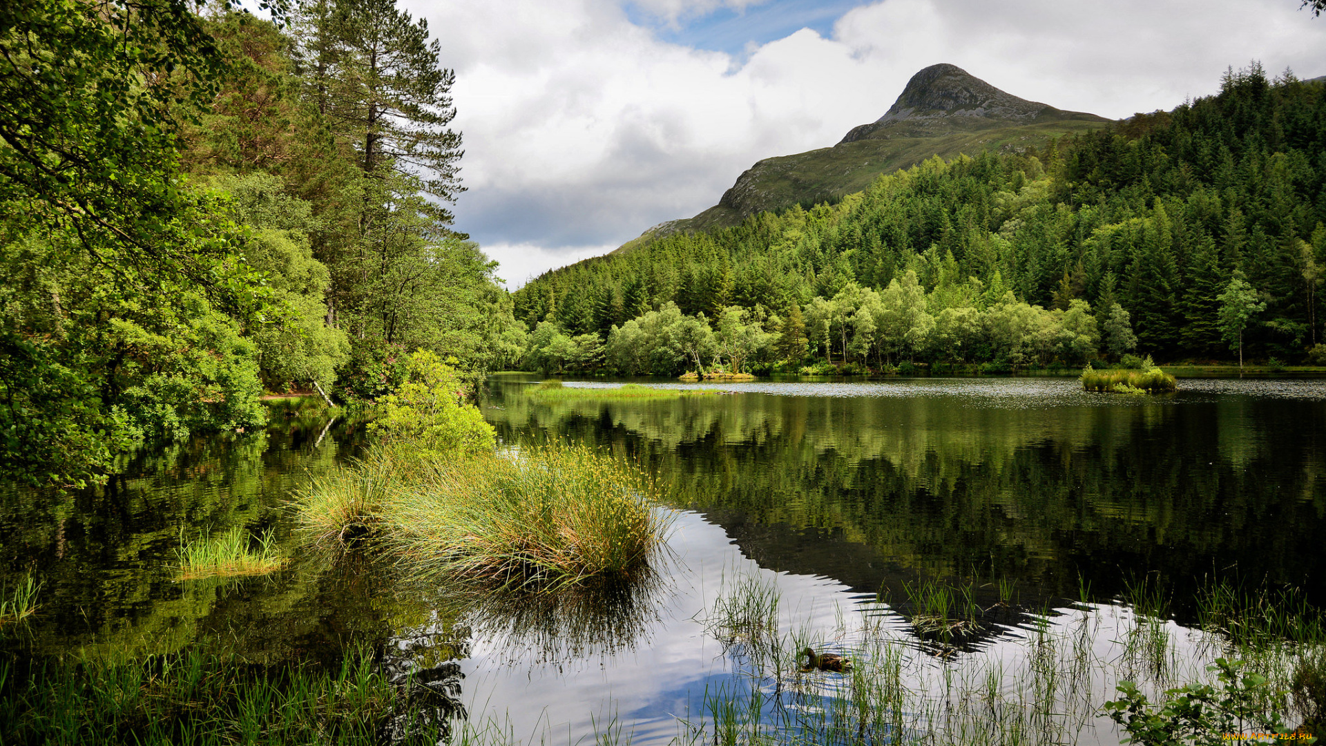 природа, реки, озера, лес, река