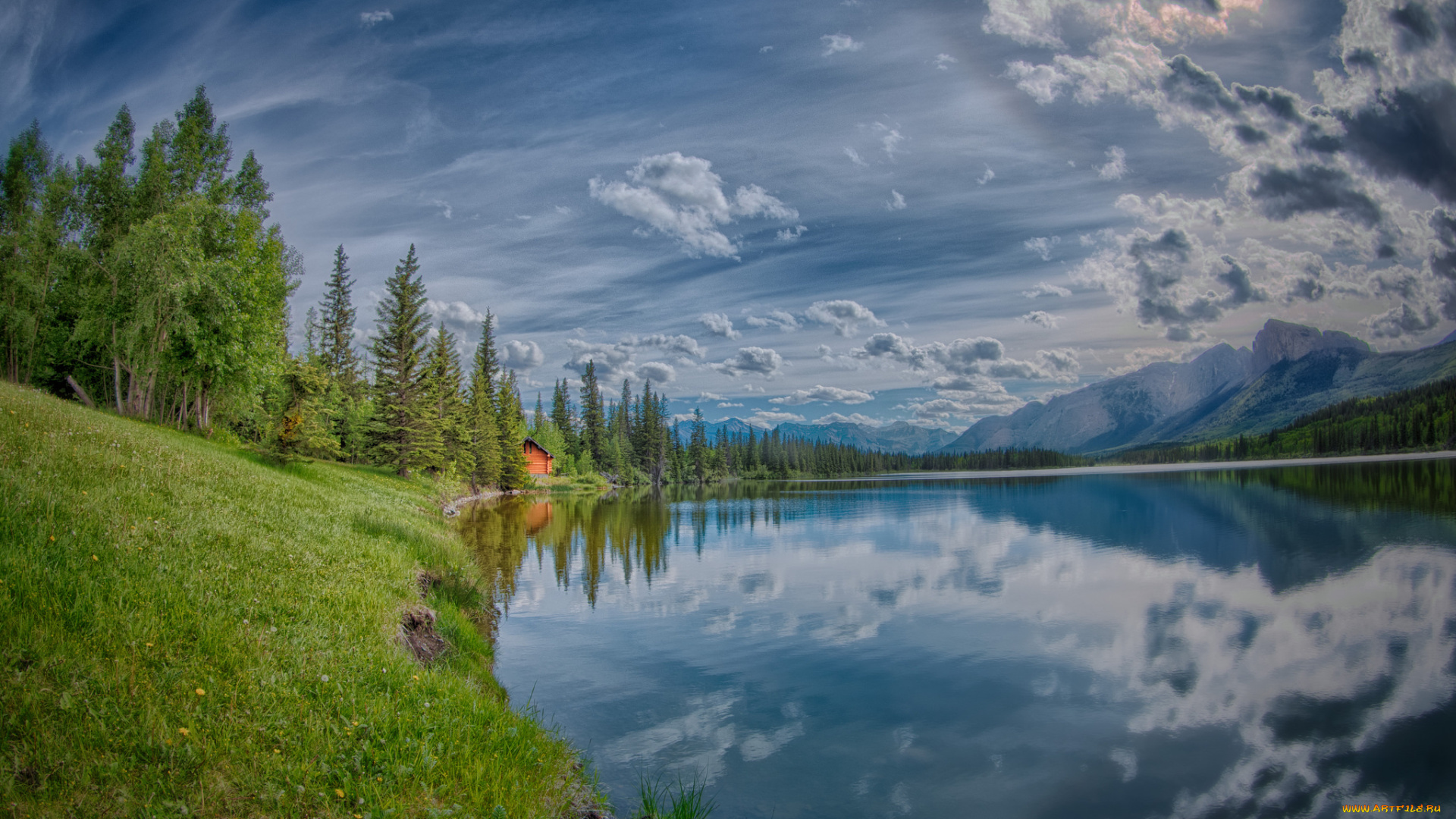 природа, реки, озера, лес, река