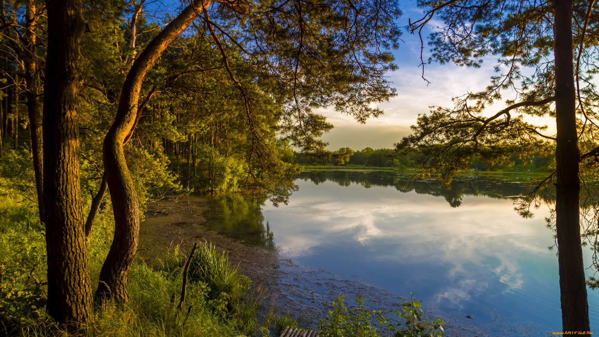 природа, реки, озера, лес, река