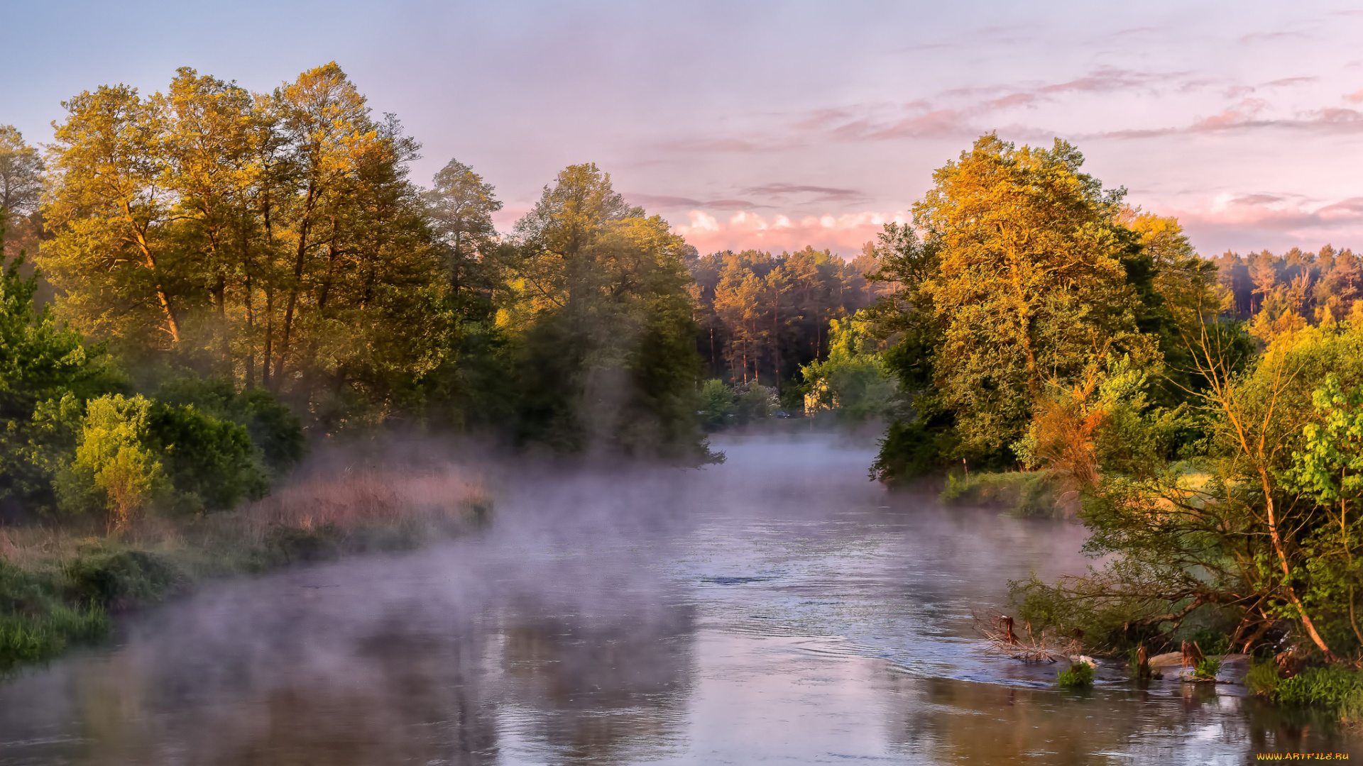 природа, реки, озера, лес, река