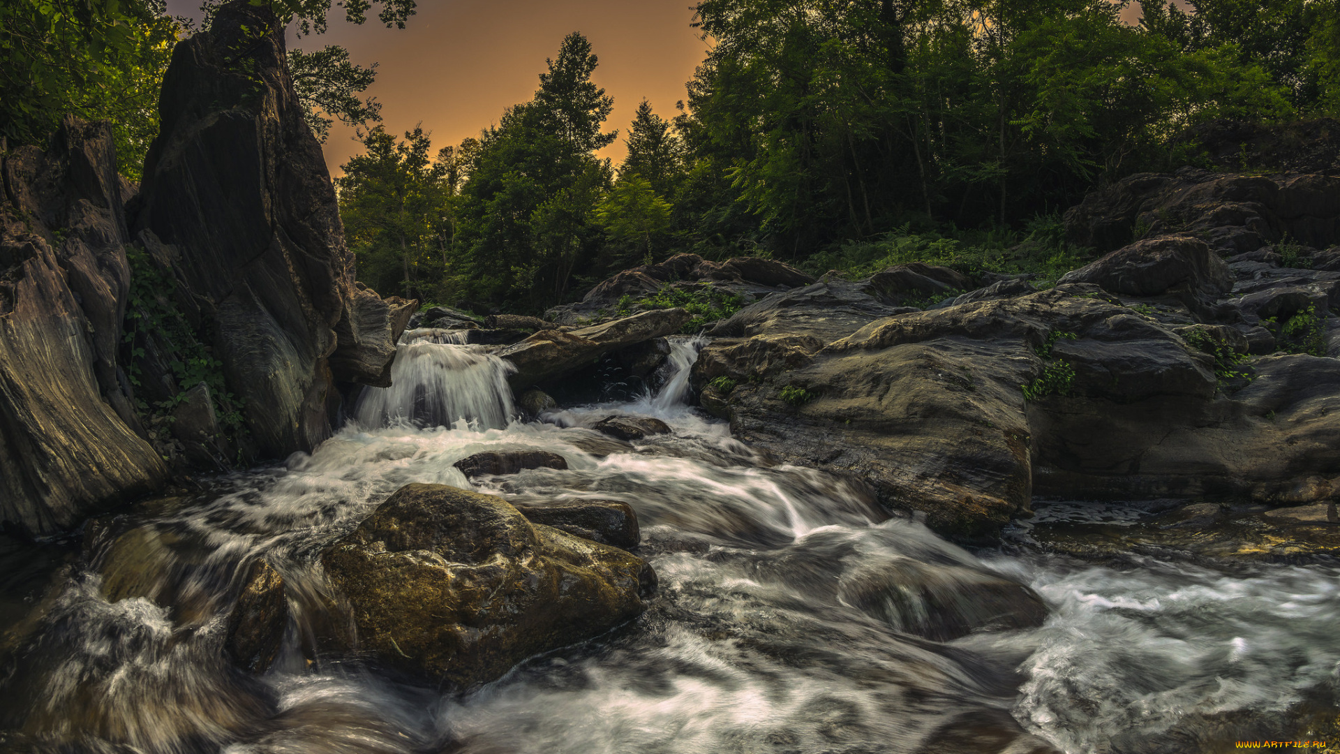 природа, реки, озера, лес, река