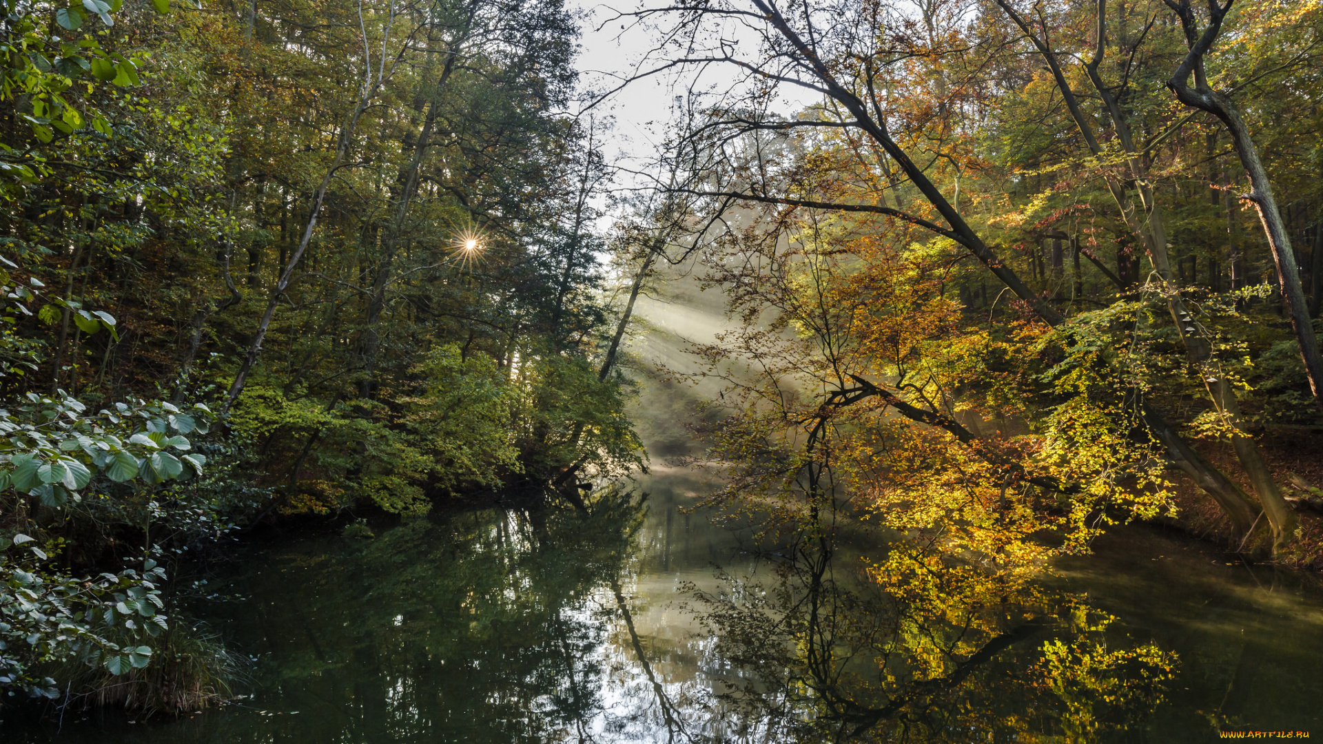 природа, реки, озера, лес, река, свет