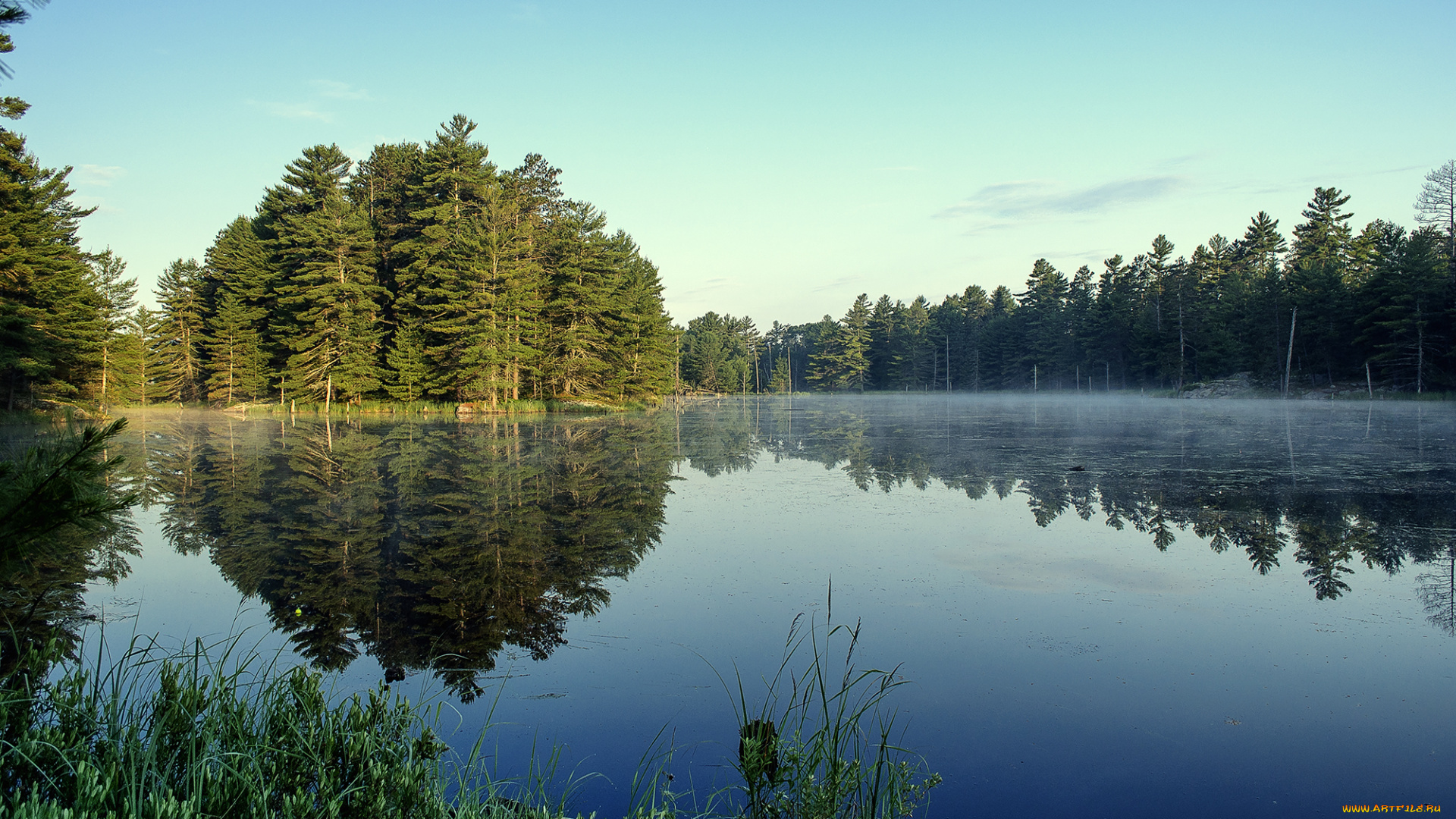 природа, реки, озера, отражение, деревья, небо, озеро