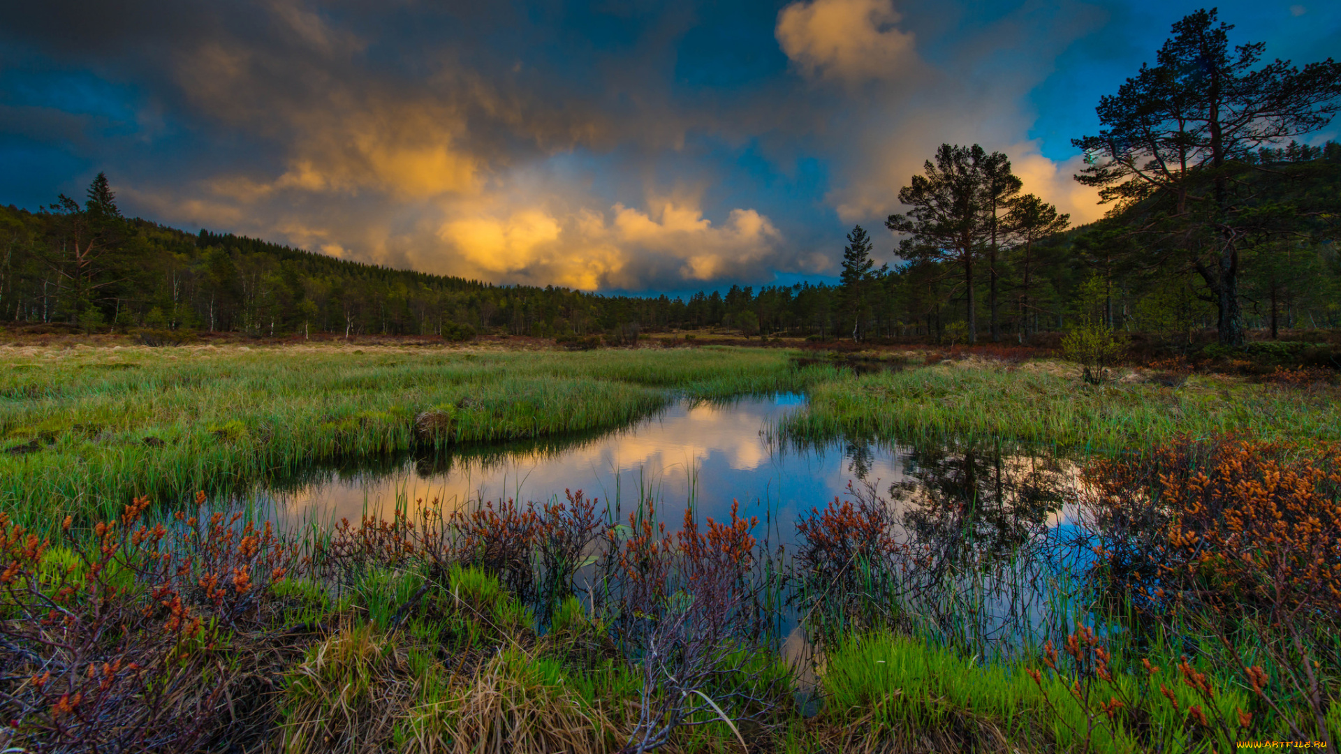 природа, реки, озера, рассвет