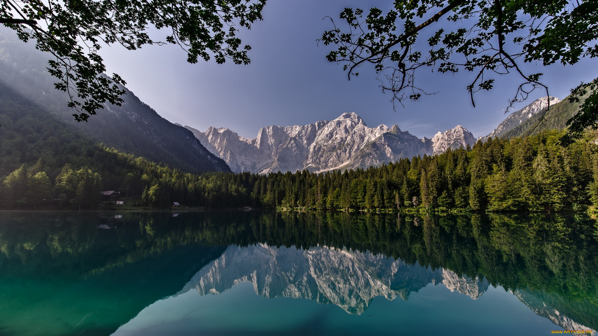 природа, реки, озера, сьерра-невада, ветки, калифорния, california, деревья, yosemite, national, park, йосемити, отражение, лес, горы, озеро, национальный, парк, sierra, nevada, mirror, lake