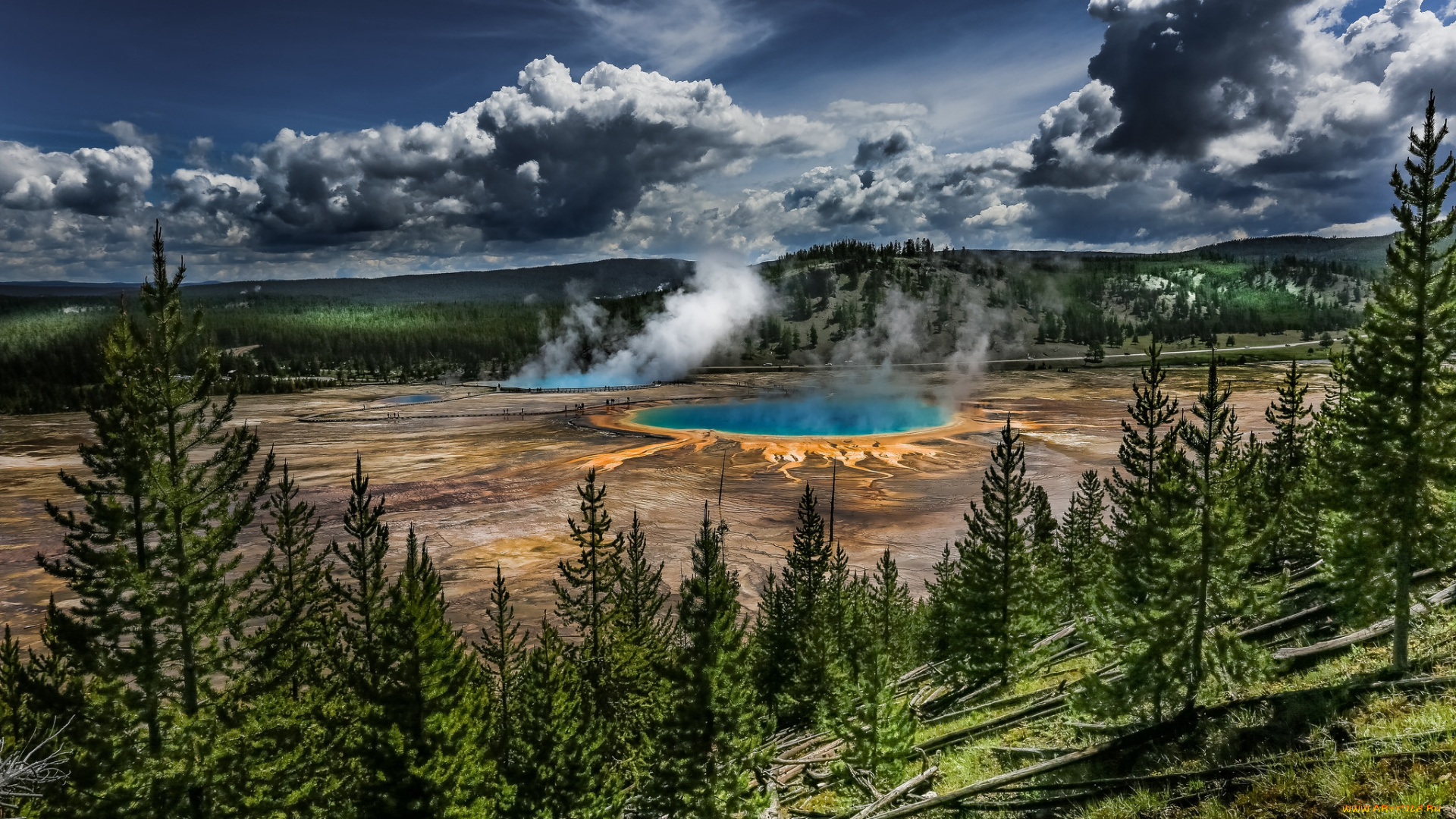 природа, стихия, испарения, гейзер, лес, плато