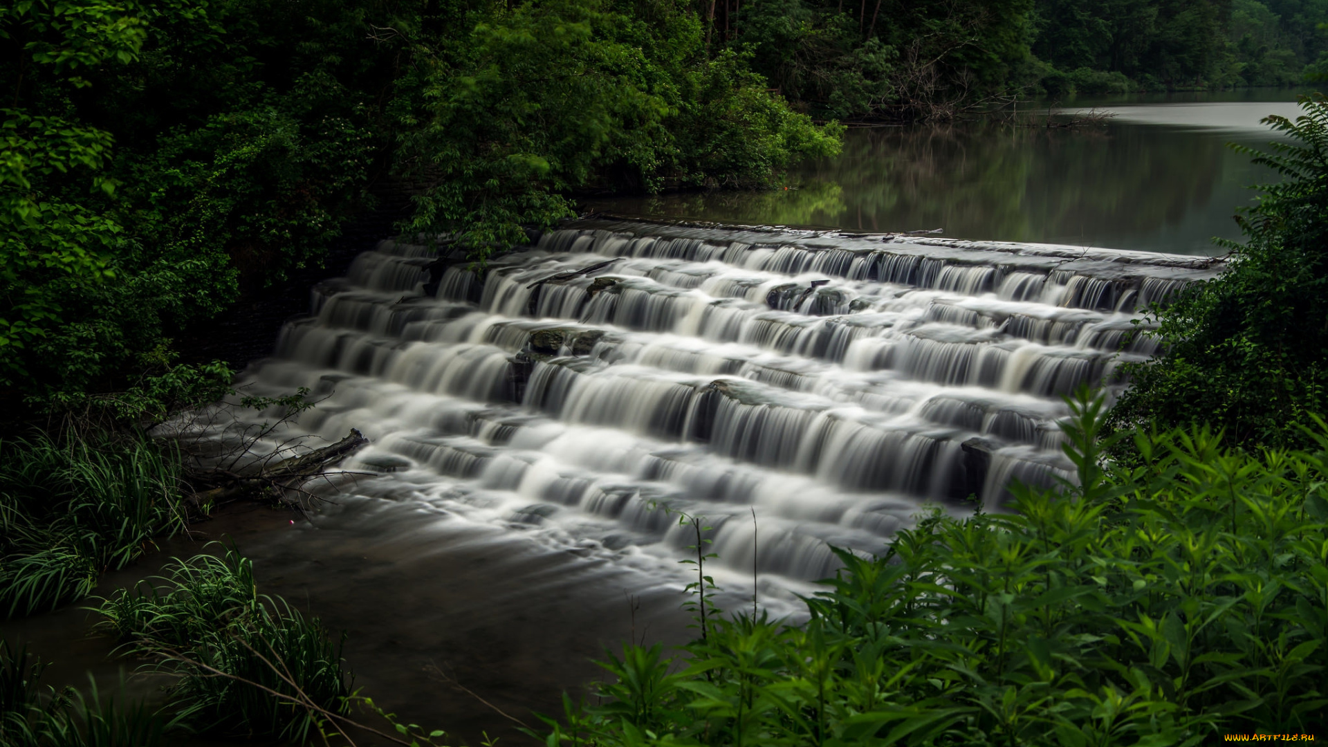 природа, водопады, лес, река, водопад