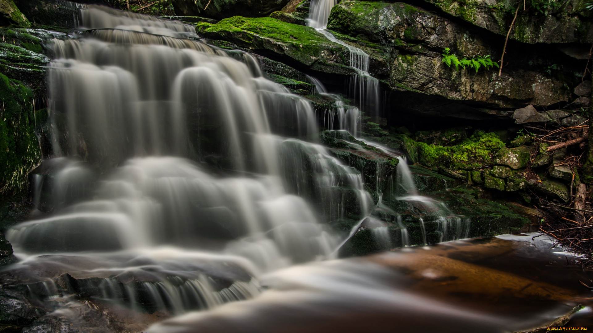 природа, водопады, лес, река, водопад