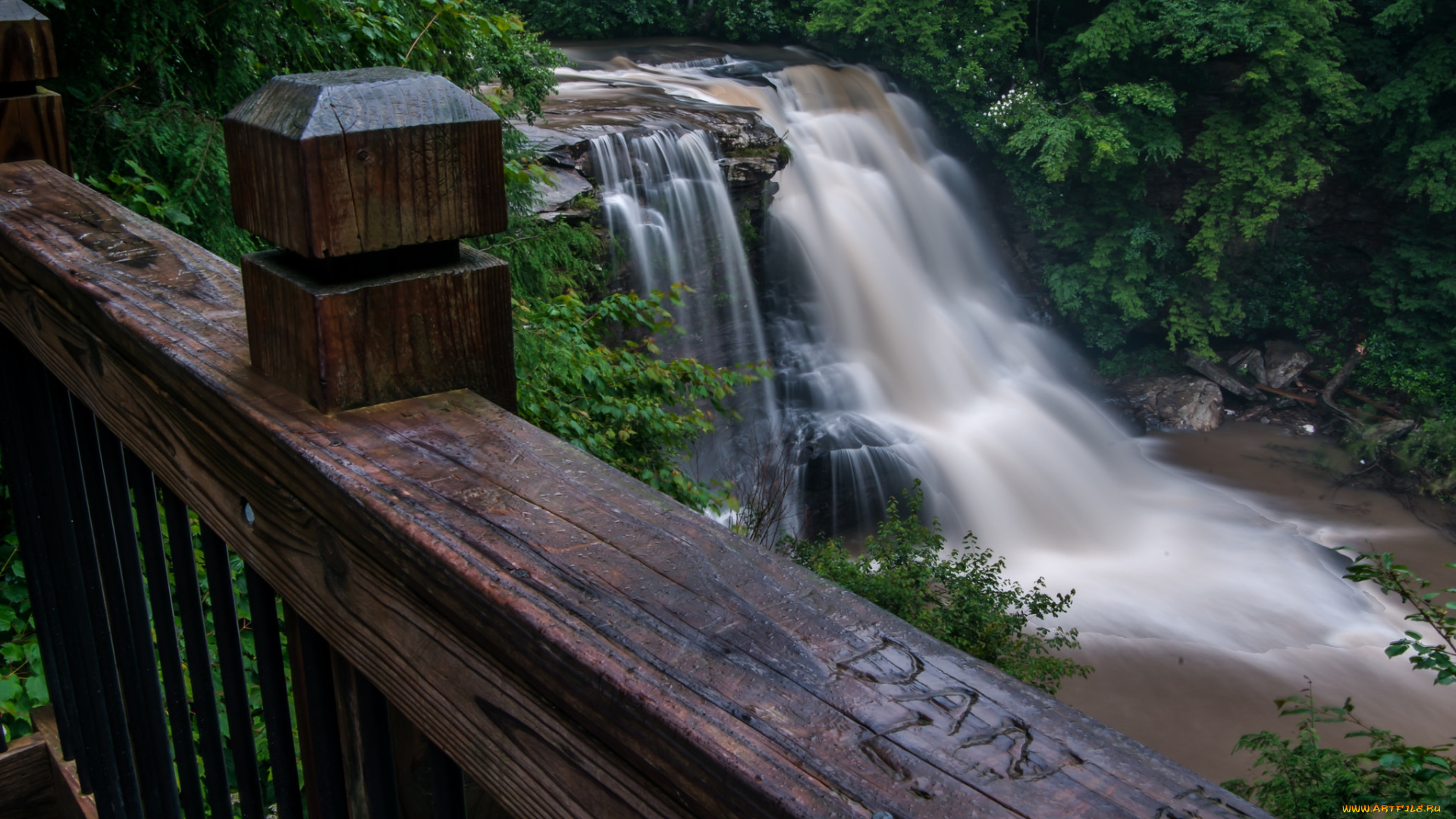 природа, водопады, лес, река, водопад