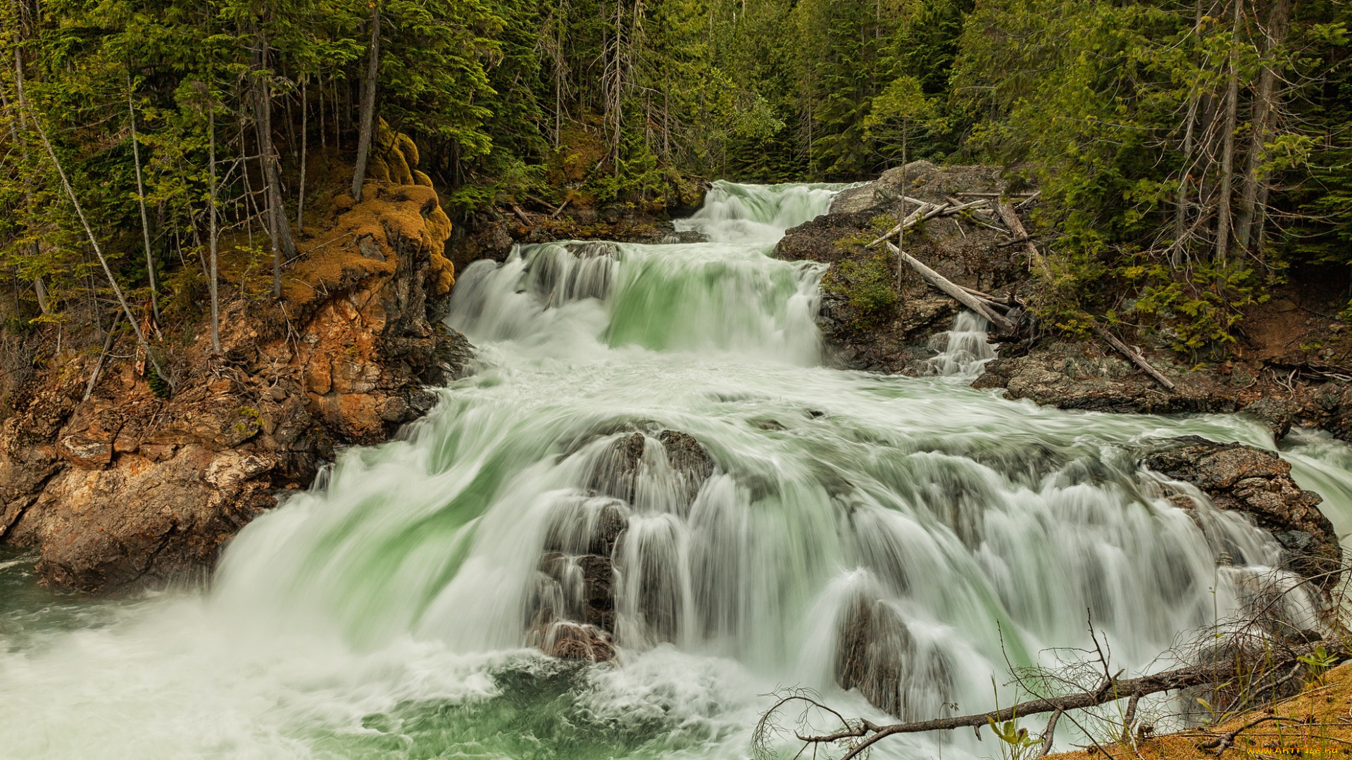 природа, водопады, лес, река, водопад
