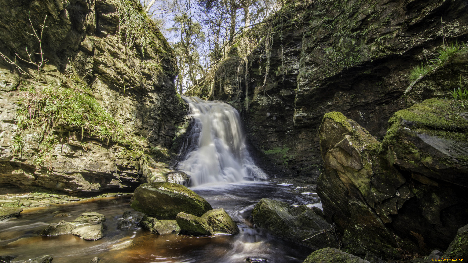 природа, водопады, лес, водопад, река