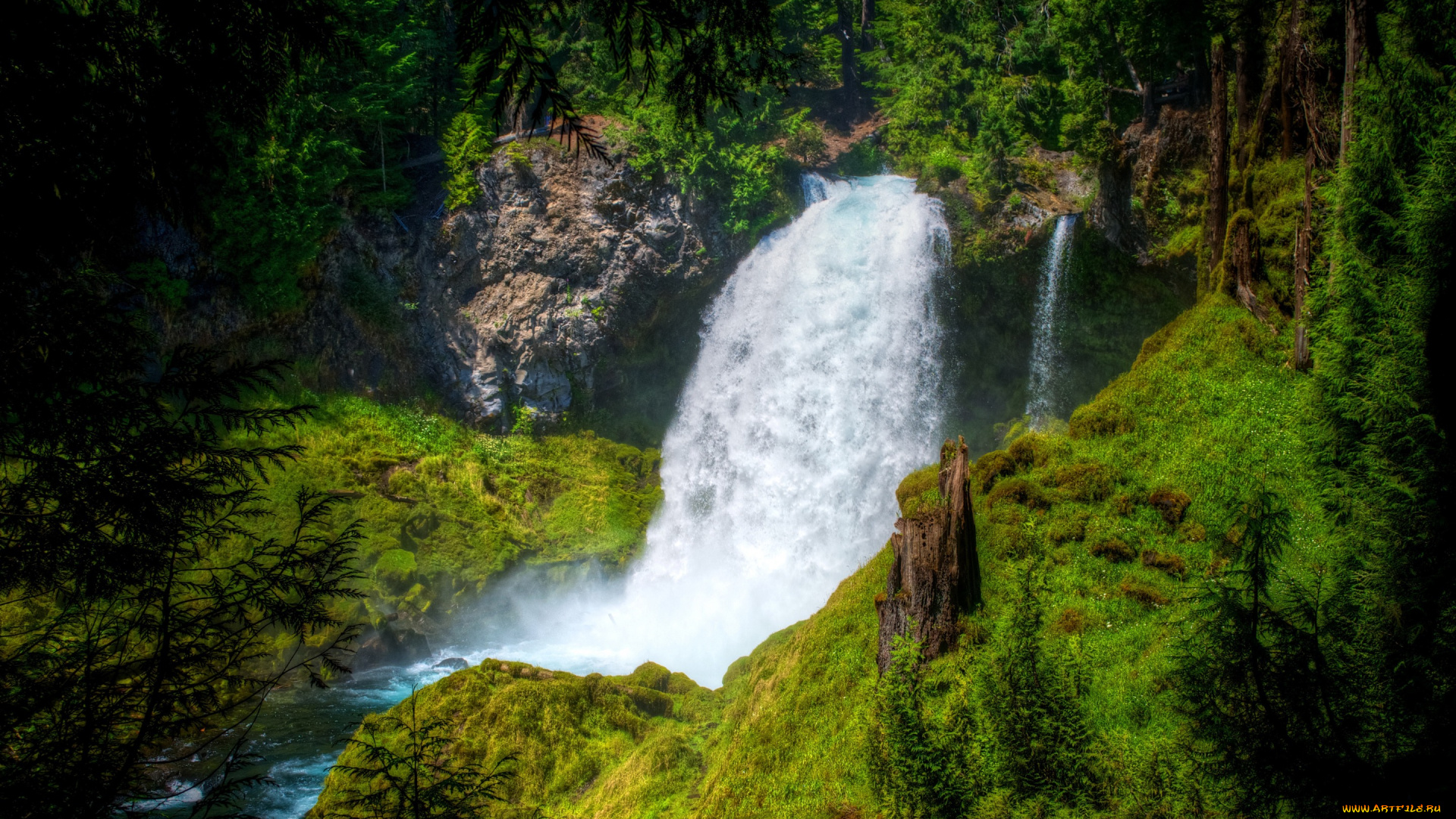 природа, водопады, сша, oregon, sahalie, falls, водопад, лес, деревья, мох, камни, зелень