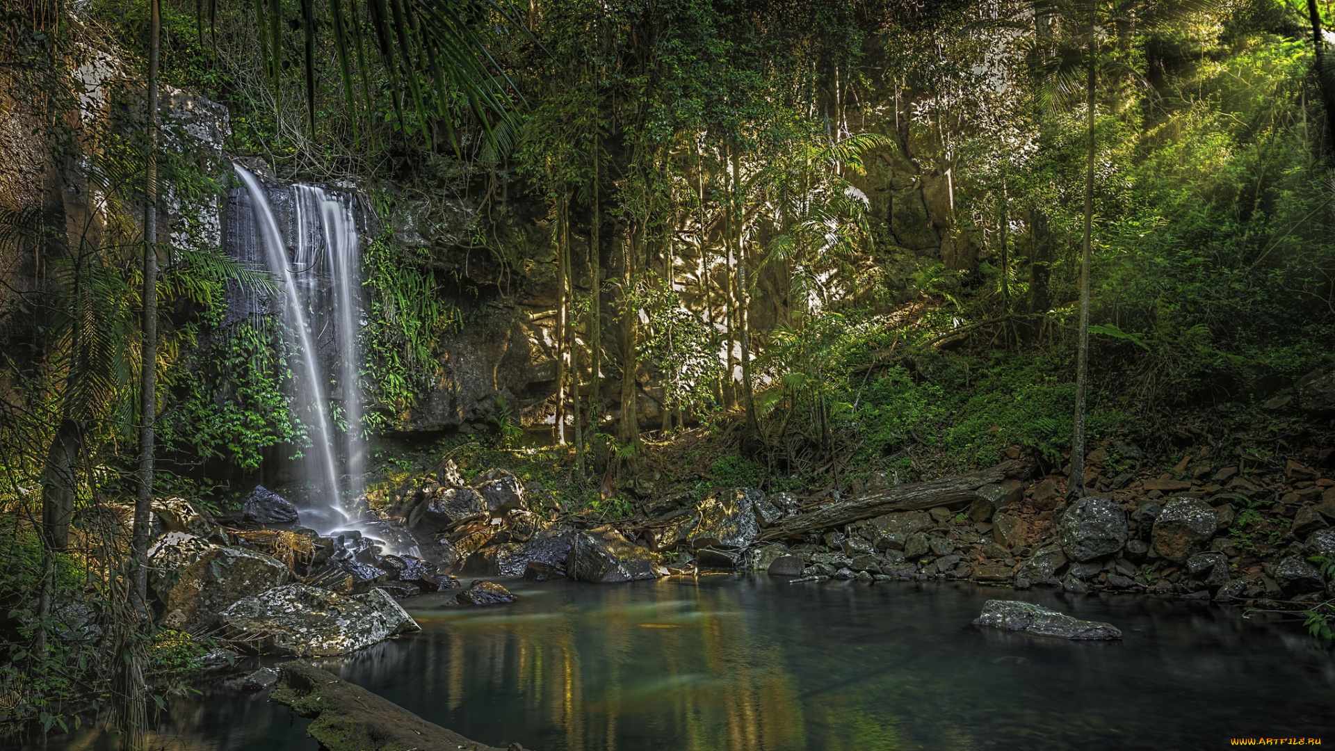 природа, водопады, водопад, река, лес