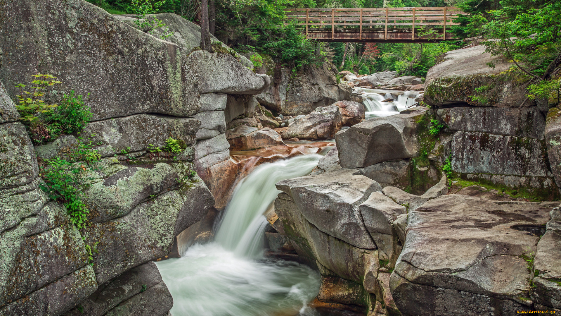 природа, водопады, водопад, река, лес