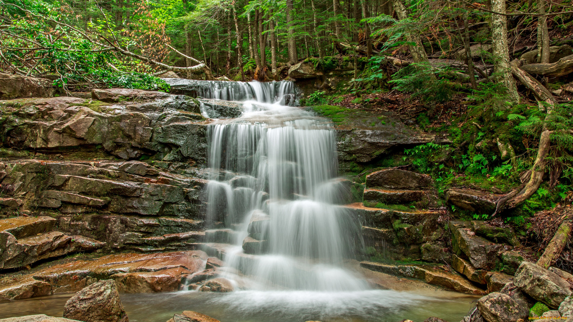 природа, водопады, водопад, река, лес