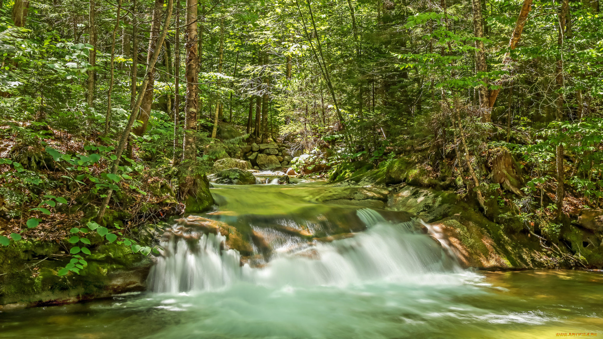природа, водопады, водопад, река, лес