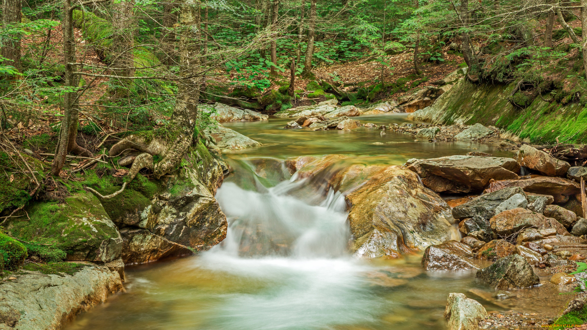 природа, водопады, водопад, река, лес