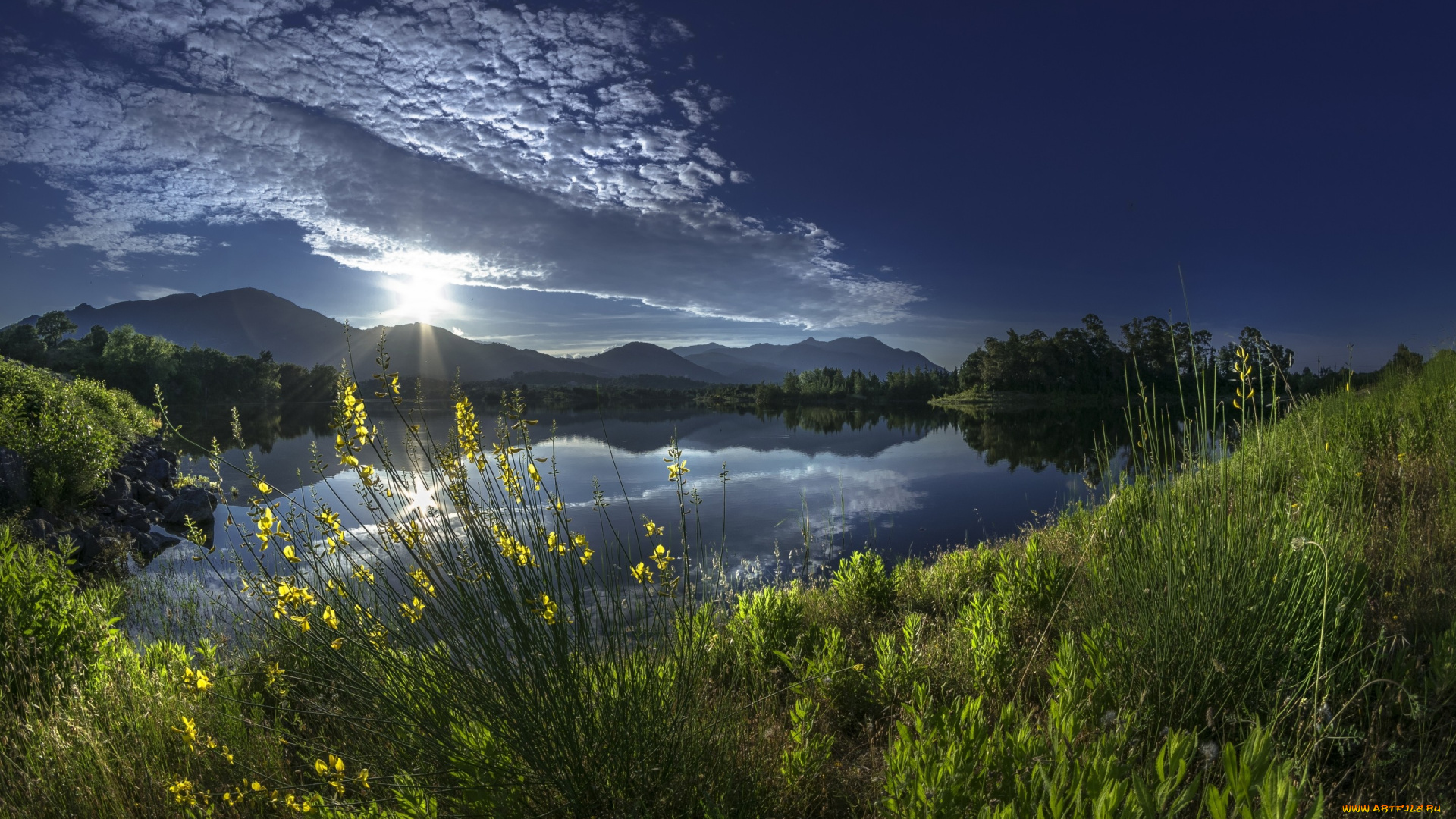 природа, восходы, закаты, горы, река, франция, корсика, алистро, france, corsica, alistro, восход, рассвет, облака, трава, отражение, утро