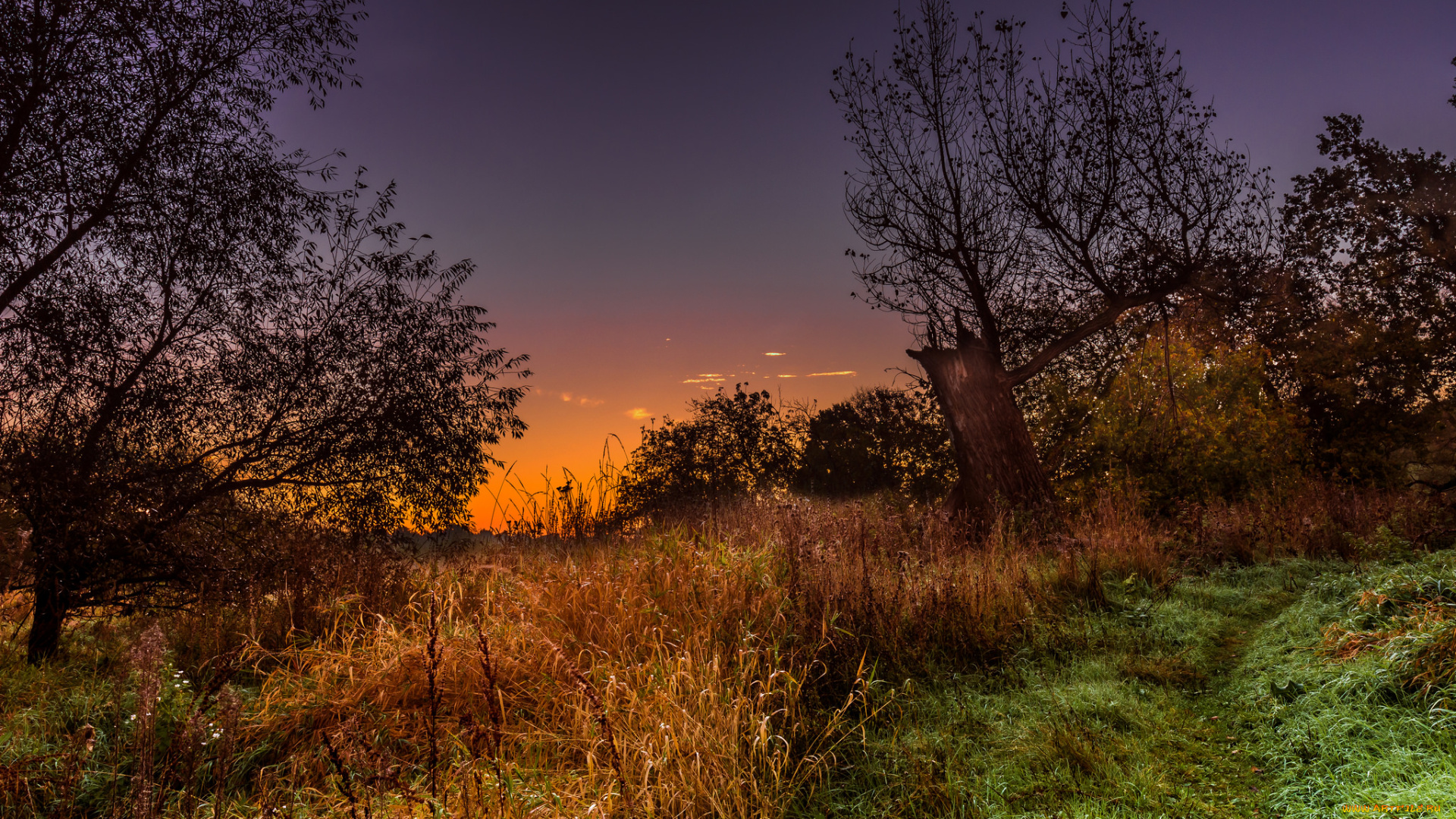 природа, восходы, закаты, косогор, заря