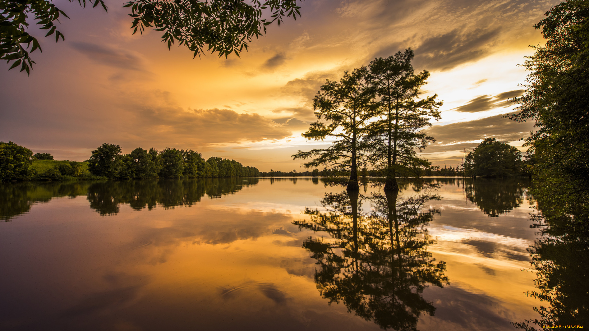 природа, восходы, закаты, лес, река, зарево