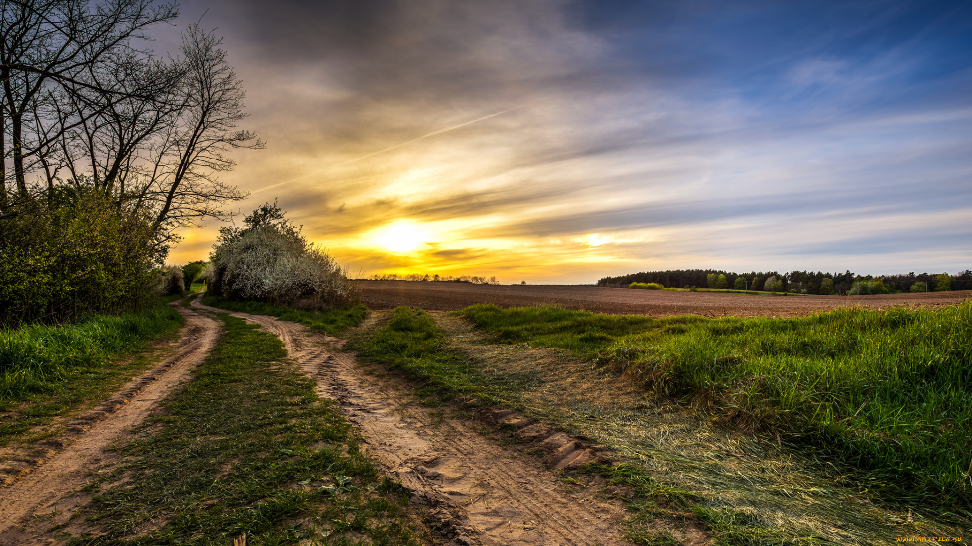природа, восходы, закаты, поле, колея, рассвет