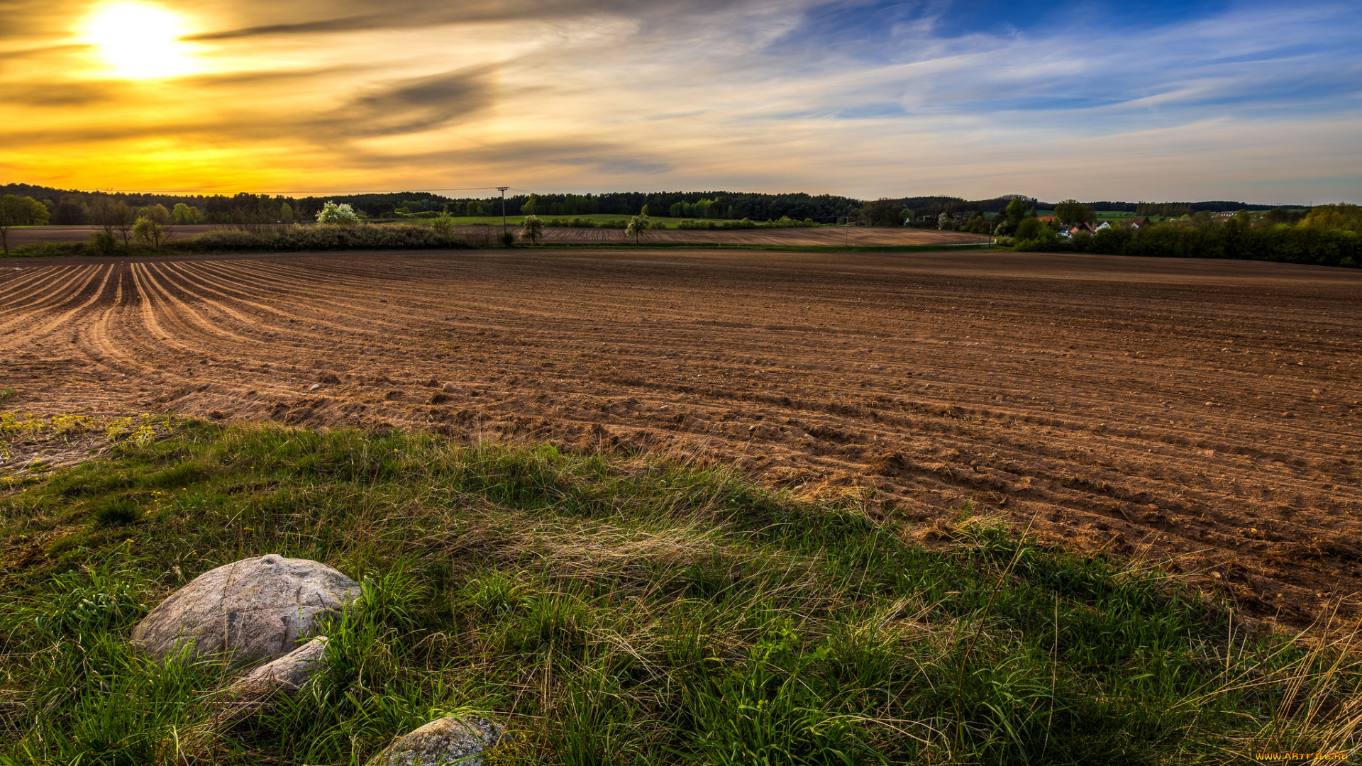 природа, восходы, закаты, поле, рассвет