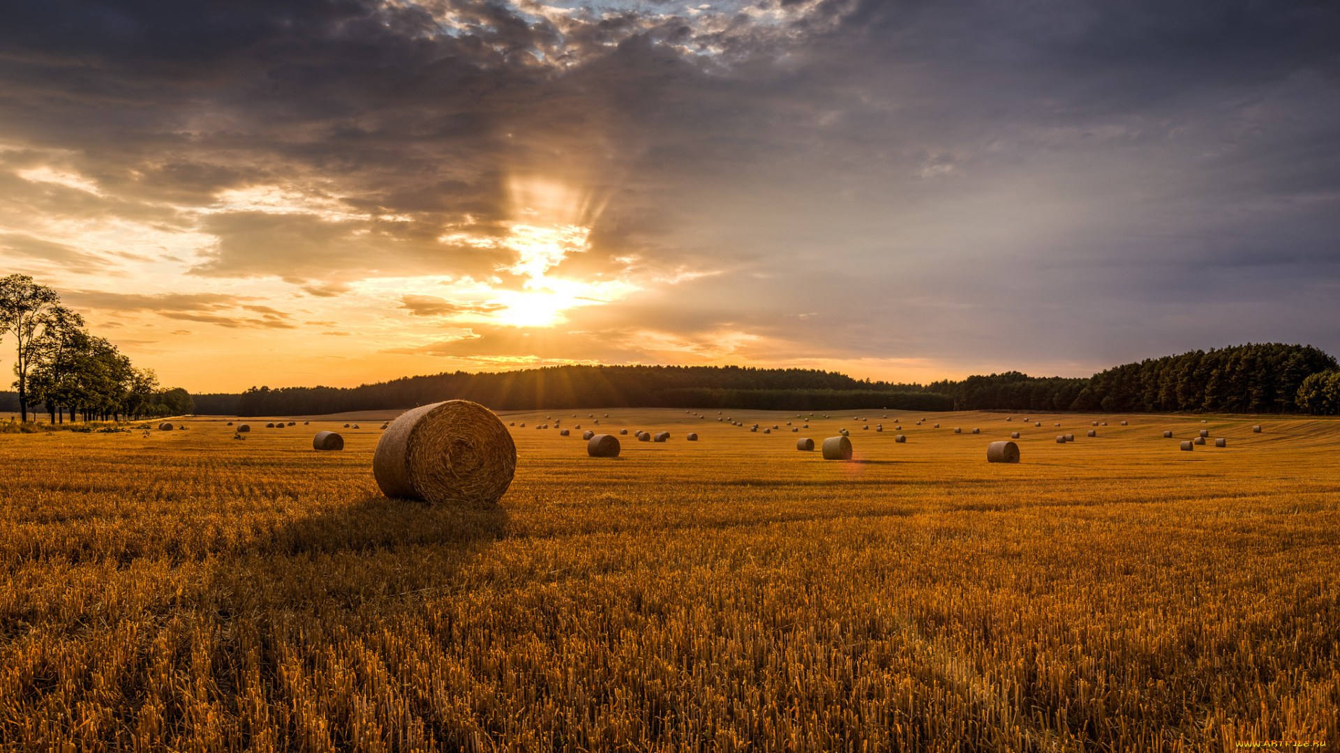 природа, восходы, закаты, рассвет