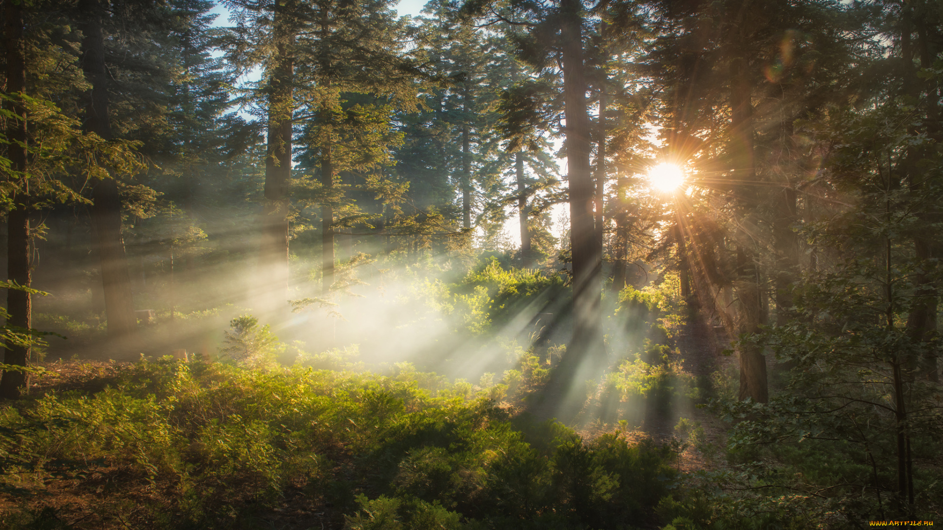 природа, восходы, закаты, рассвет