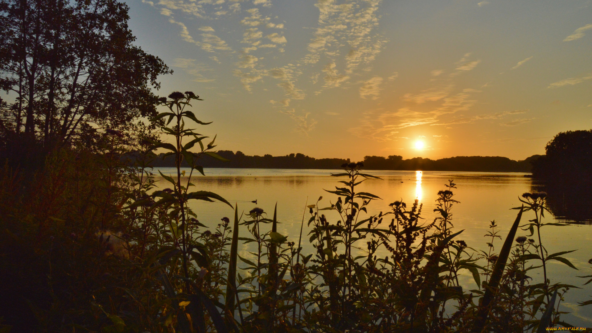 природа, восходы, закаты, сумерки, река