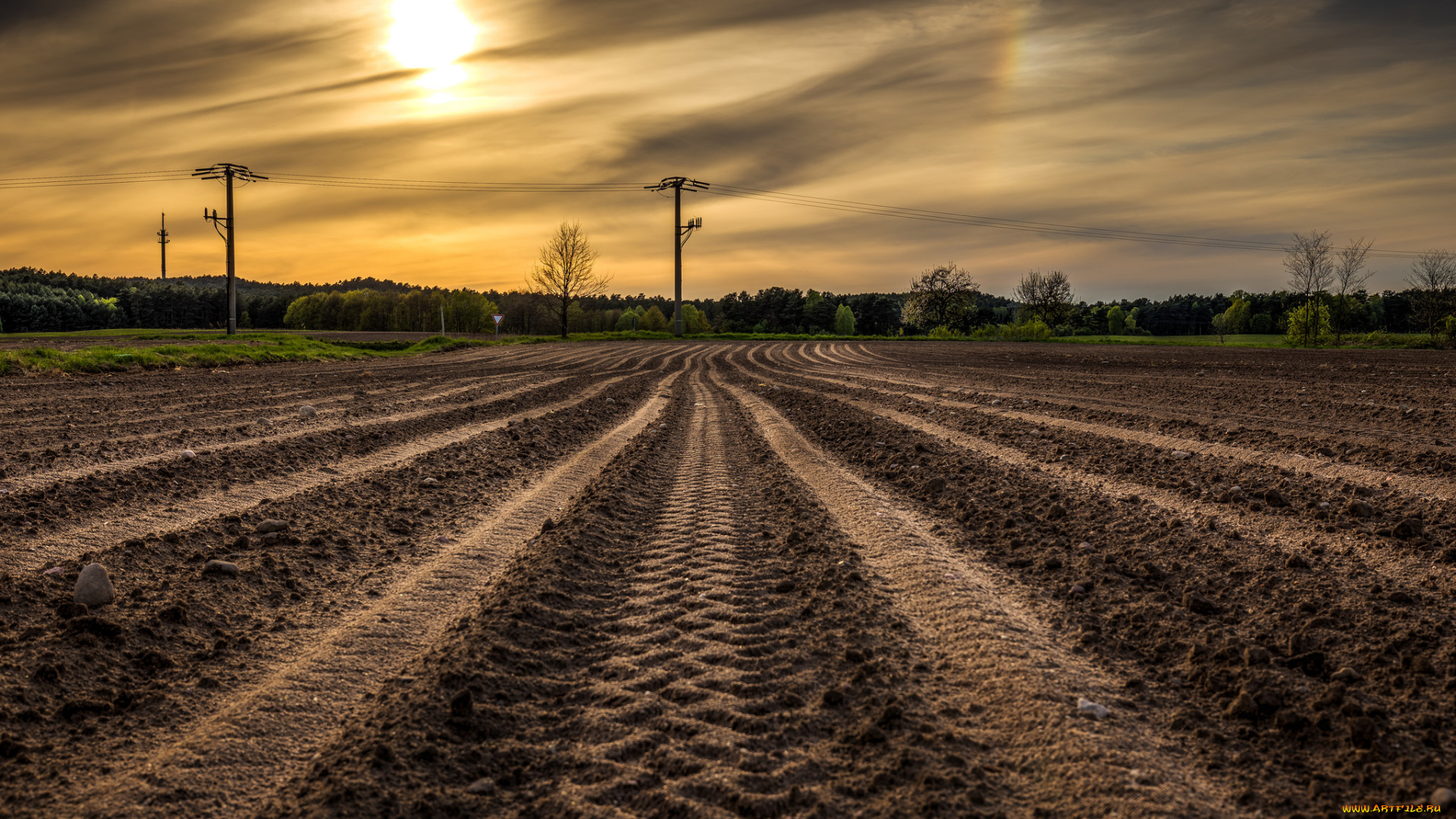 природа, восходы, закаты, вечер, пашня