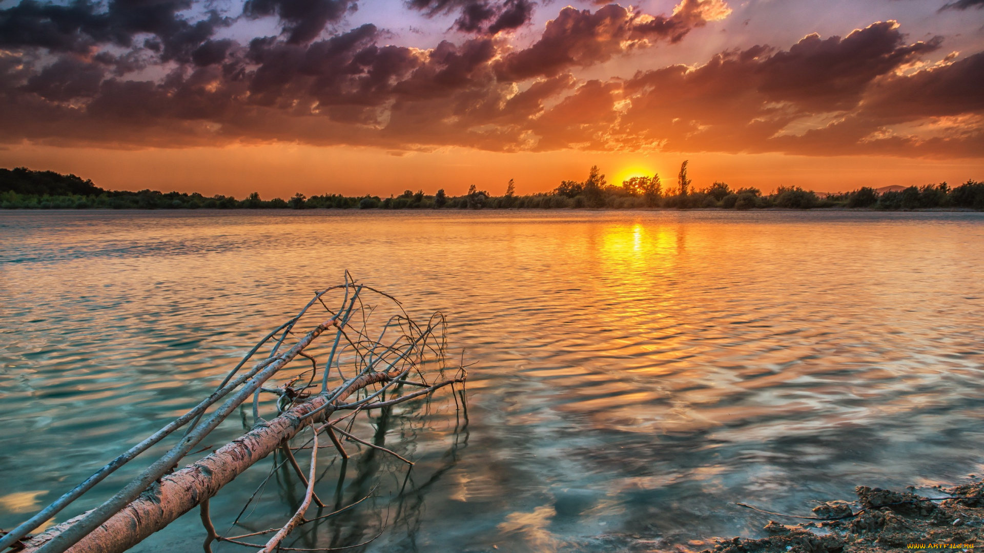 природа, восходы, закаты, закат, река, дерево