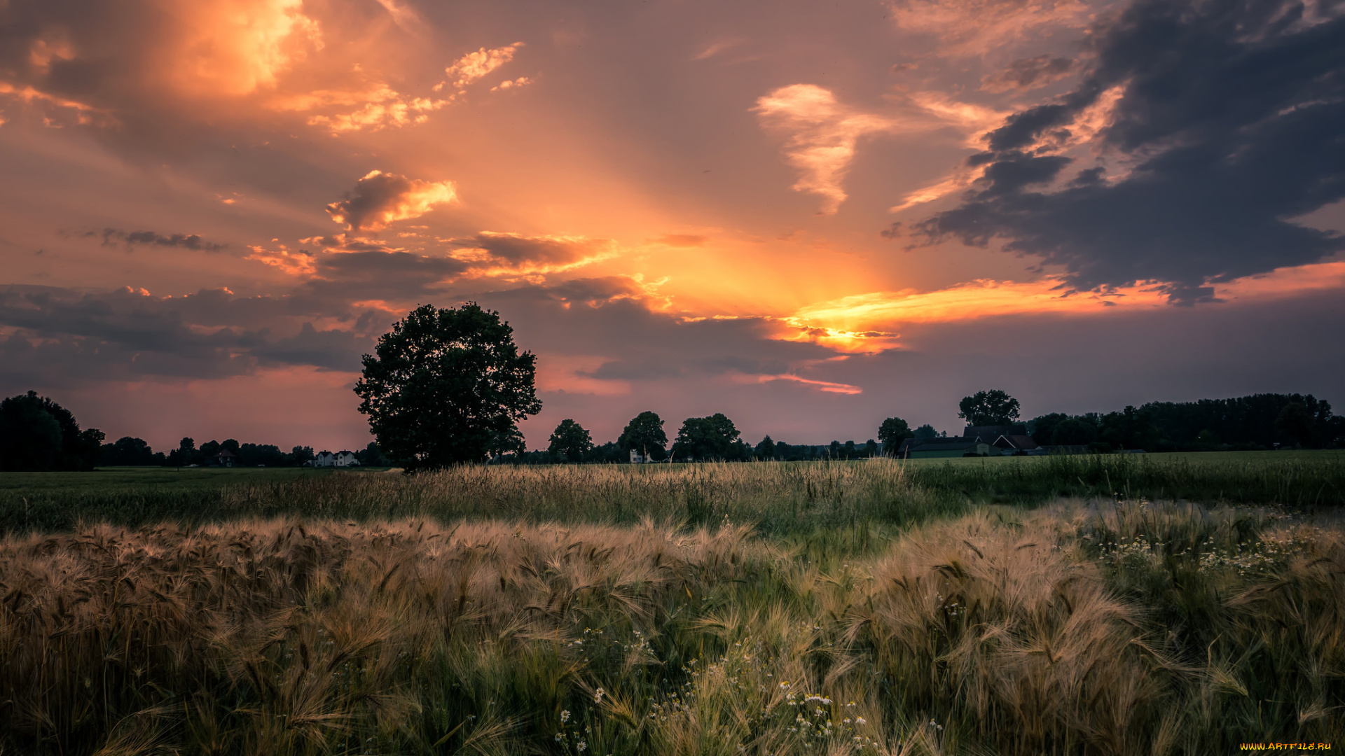 природа, восходы, закаты, заря, вечер