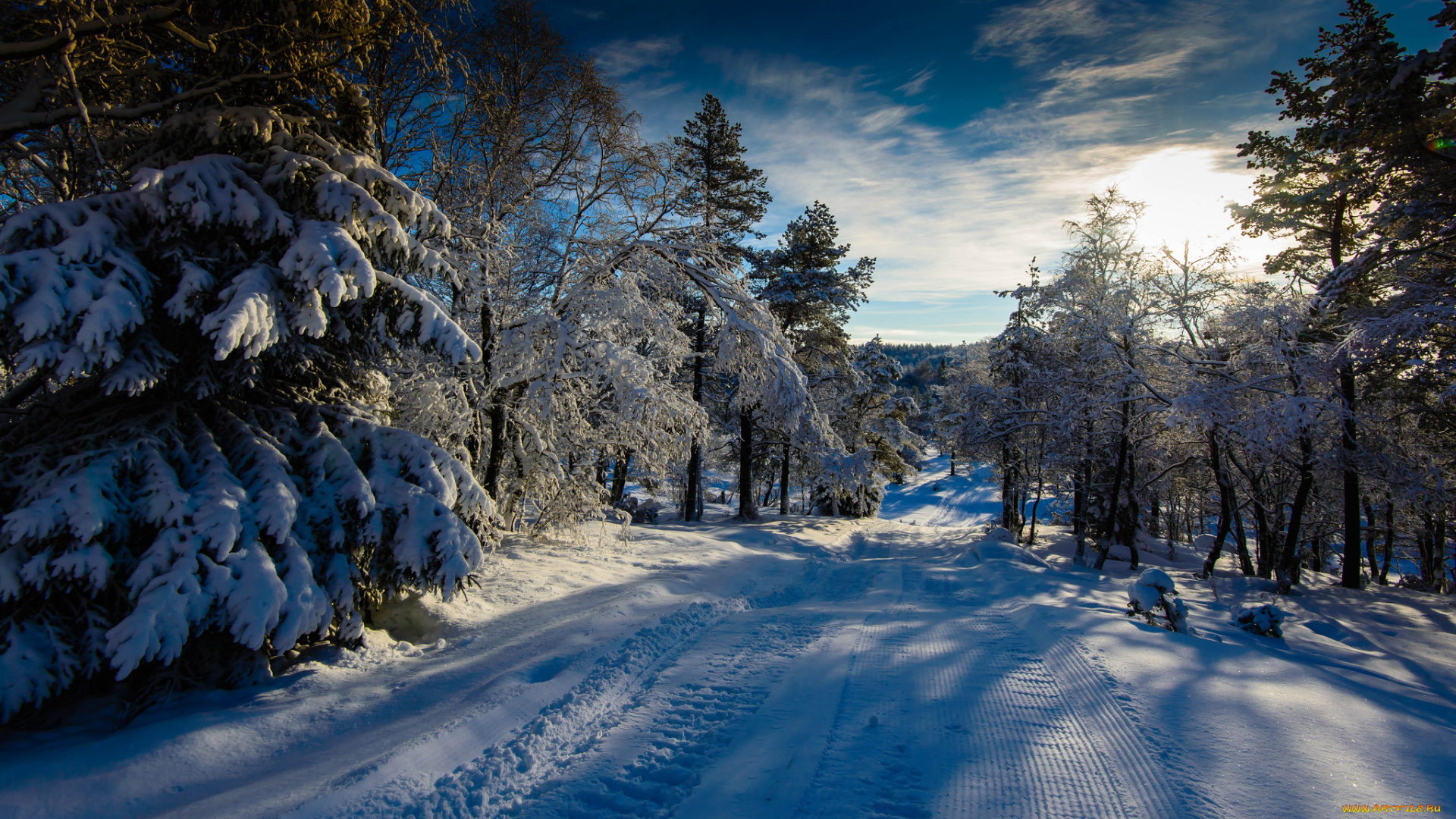 природа, зима, деревья, снег