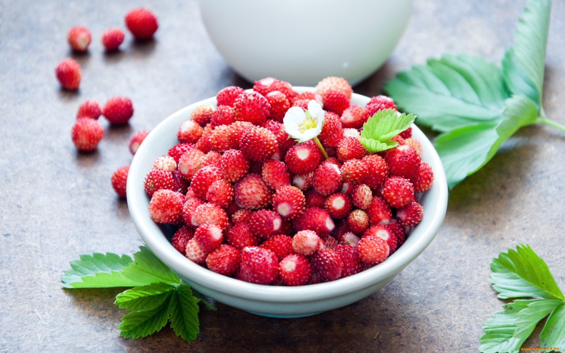 еда, клубника, , земляника, красный, земляника, ягоды, листья, цветочек