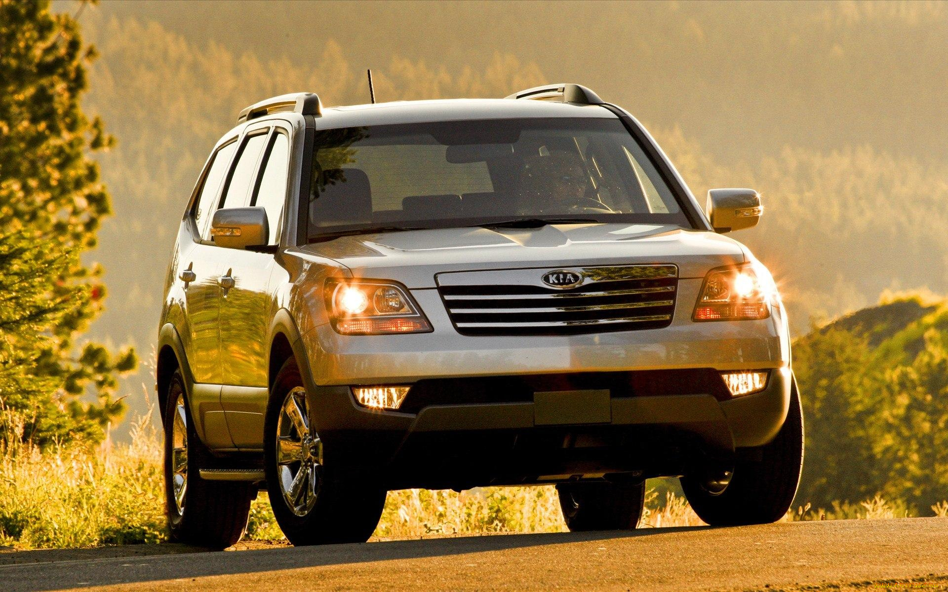 kia, borrego, автомобили, kia, свет, лес, деревья, осень, серебристый, джип, киа
