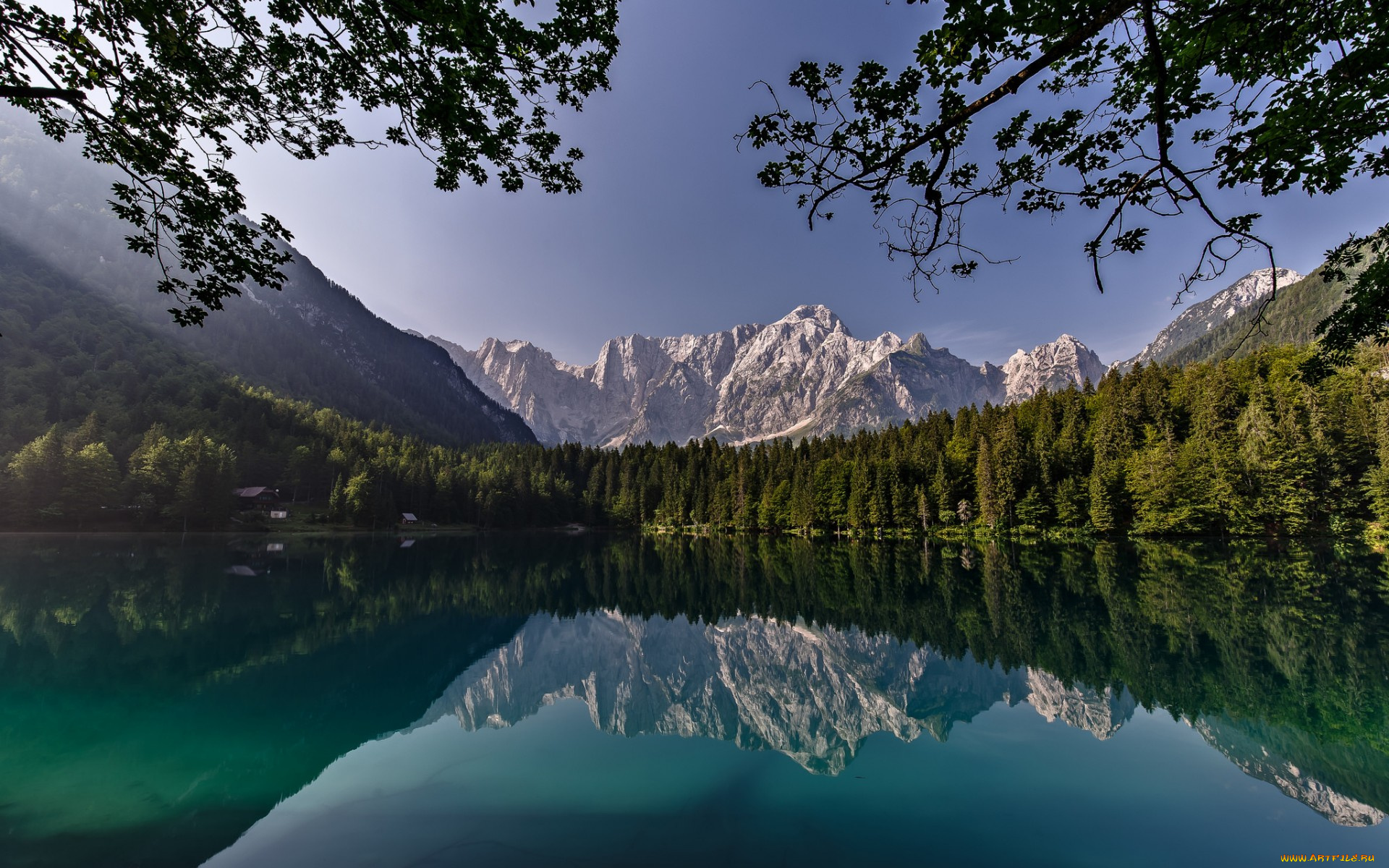 природа, реки, озера, сьерра-невада, ветки, калифорния, california, деревья, yosemite, national, park, йосемити, отражение, лес, горы, озеро, национальный, парк, sierra, nevada, mirror, lake