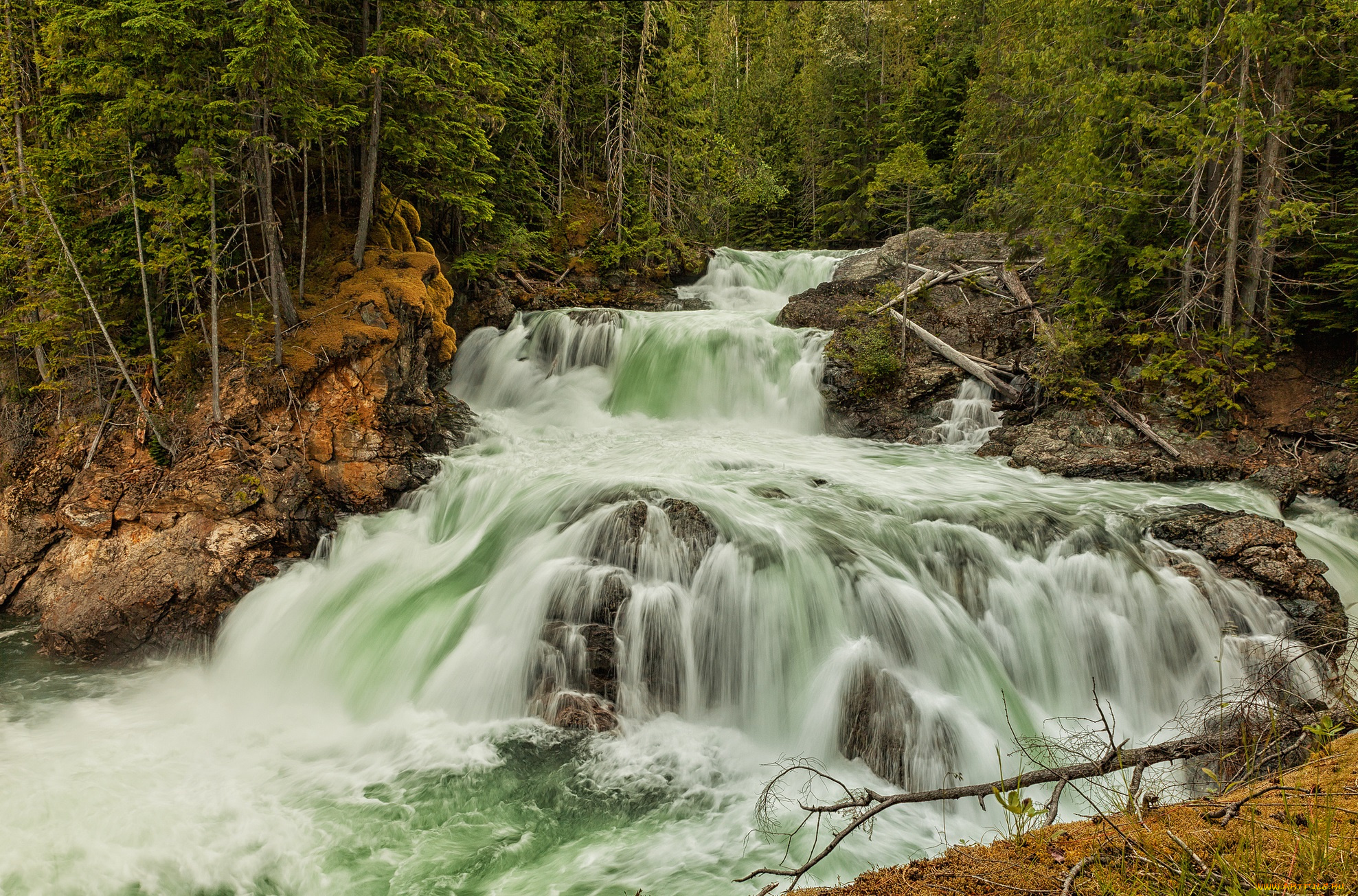 природа, водопады, лес, река, водопад
