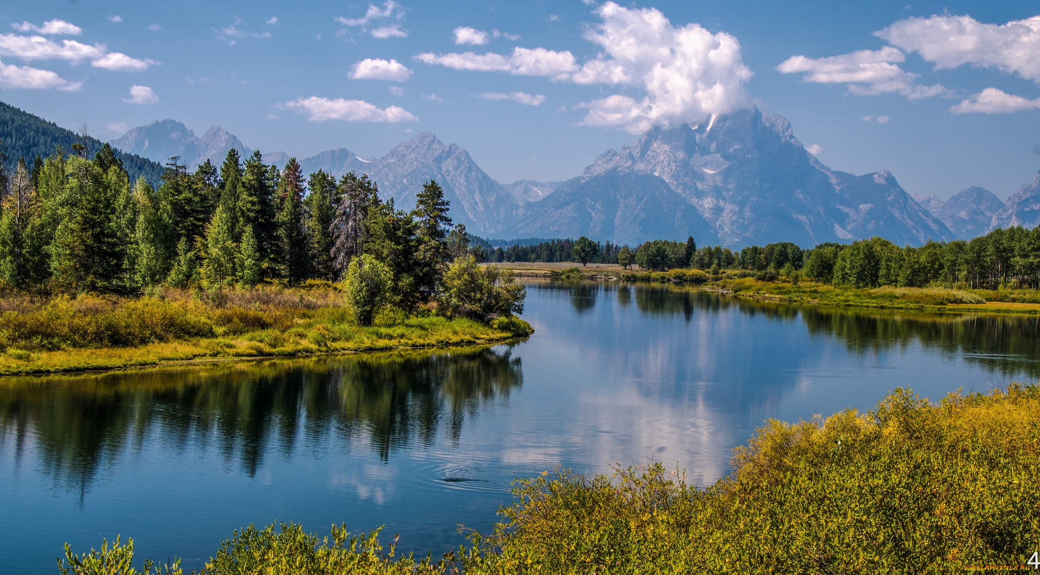 природа, реки, озера, лес, река