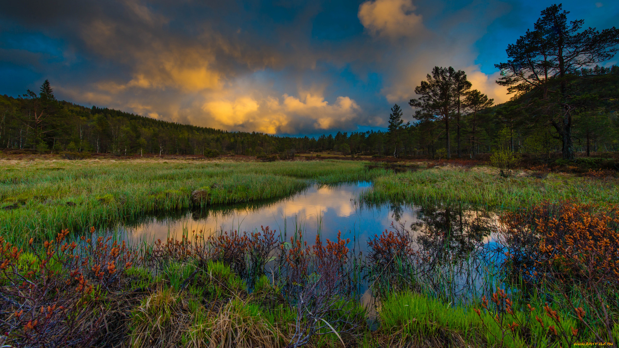 природа, реки, озера, рассвет