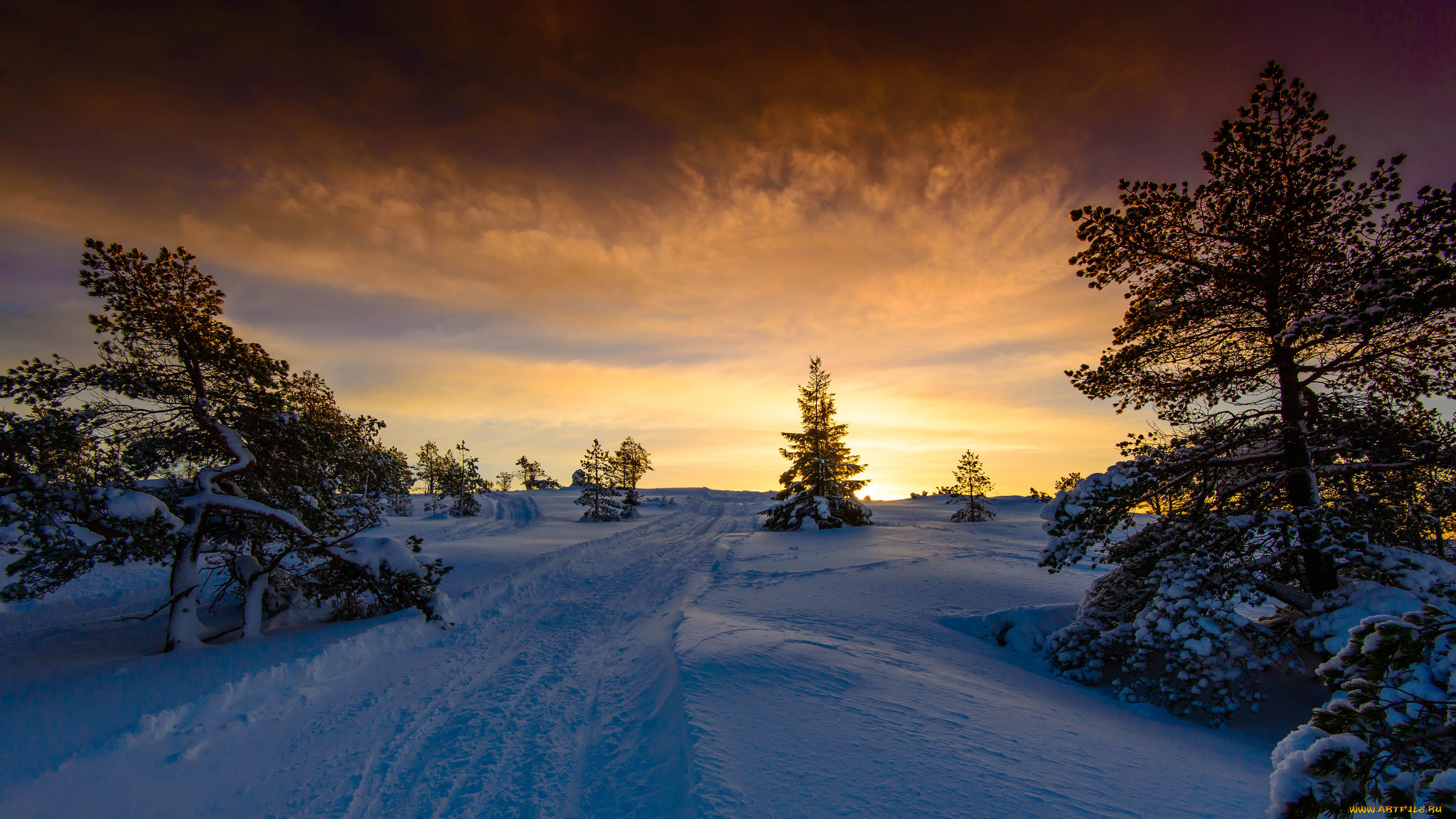 природа, зима, деревья, снег, тучи, свет