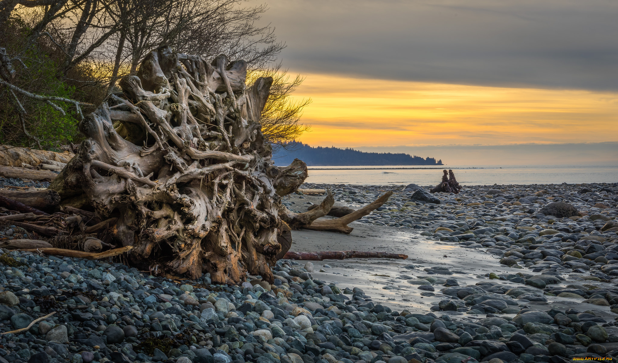 природа, реки, озера, лес, река