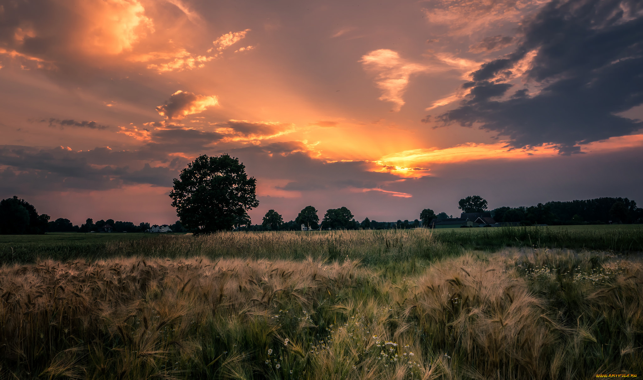 природа, восходы, закаты, заря, вечер