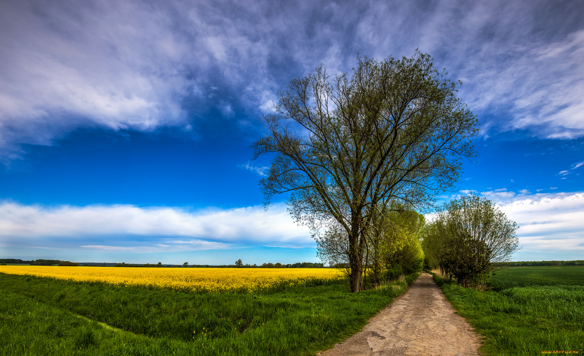 природа, дороги, поле, тракт
