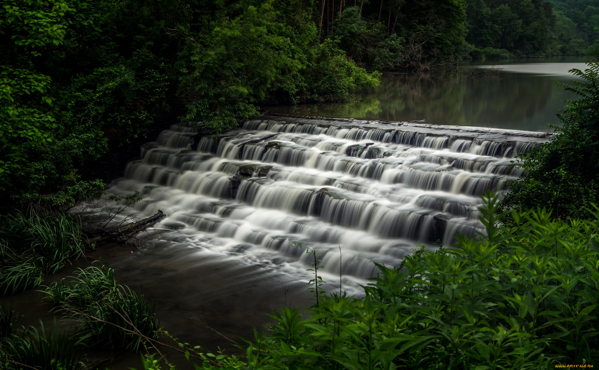 природа, водопады, лес, река, водопад